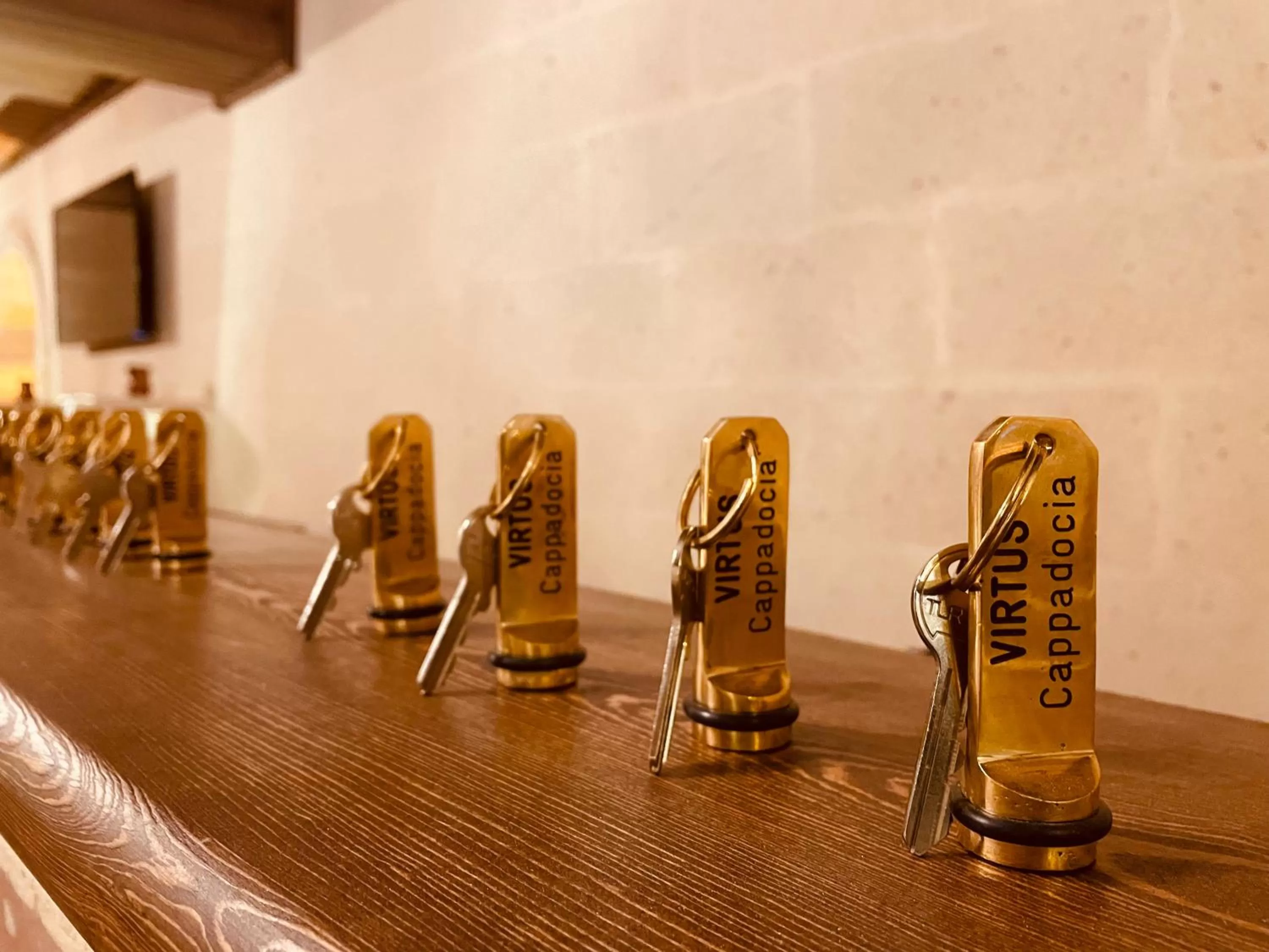 Communal lounge/ TV room in Virtus Cappadocia Hotel Göreme