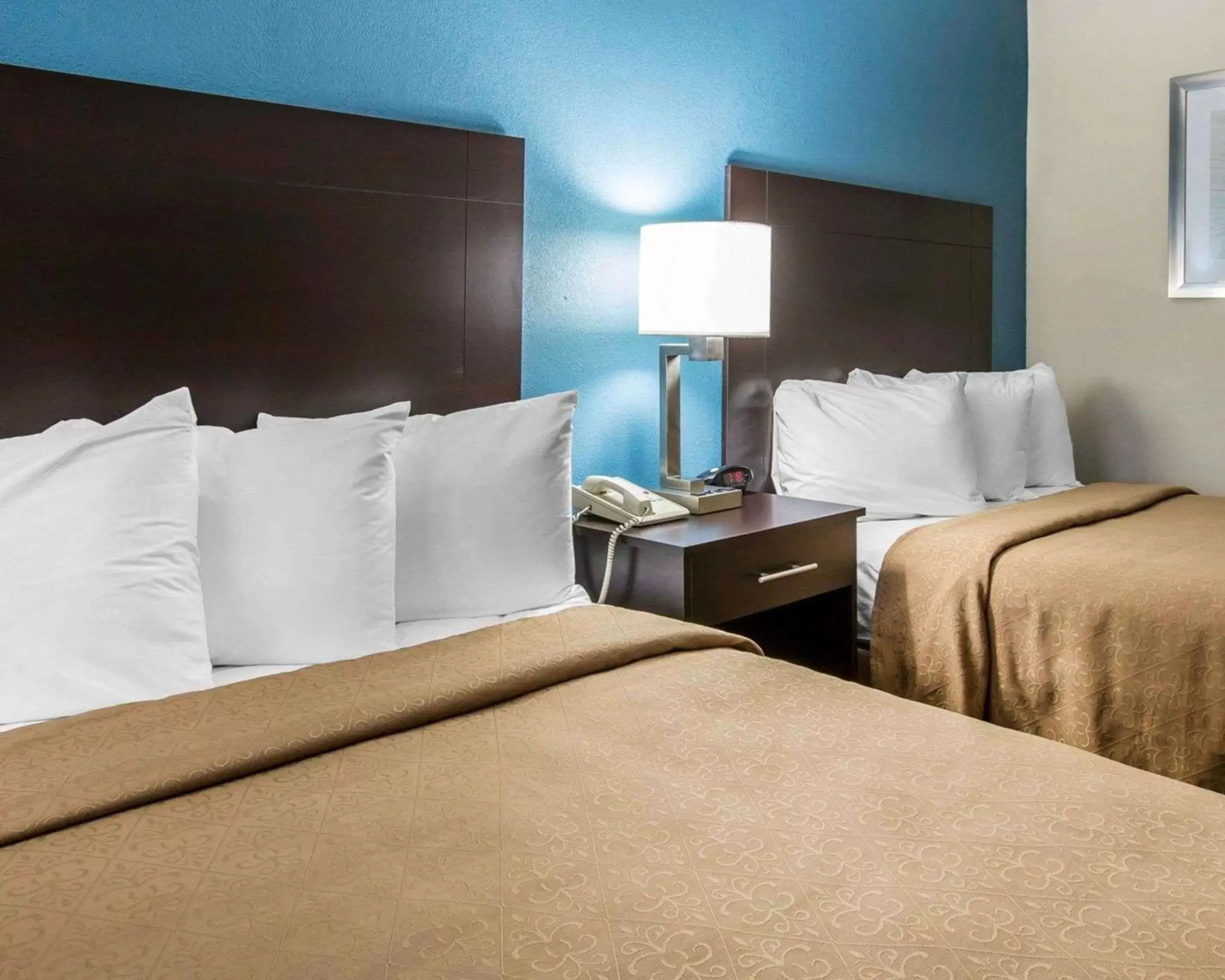 Photo of the whole room, Bed in Quality Inn Macon West Photo of the whole room, Bed in Quality Inn Macon West