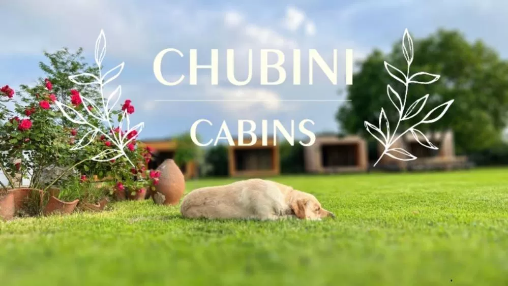 Chubini Winery & Cabins