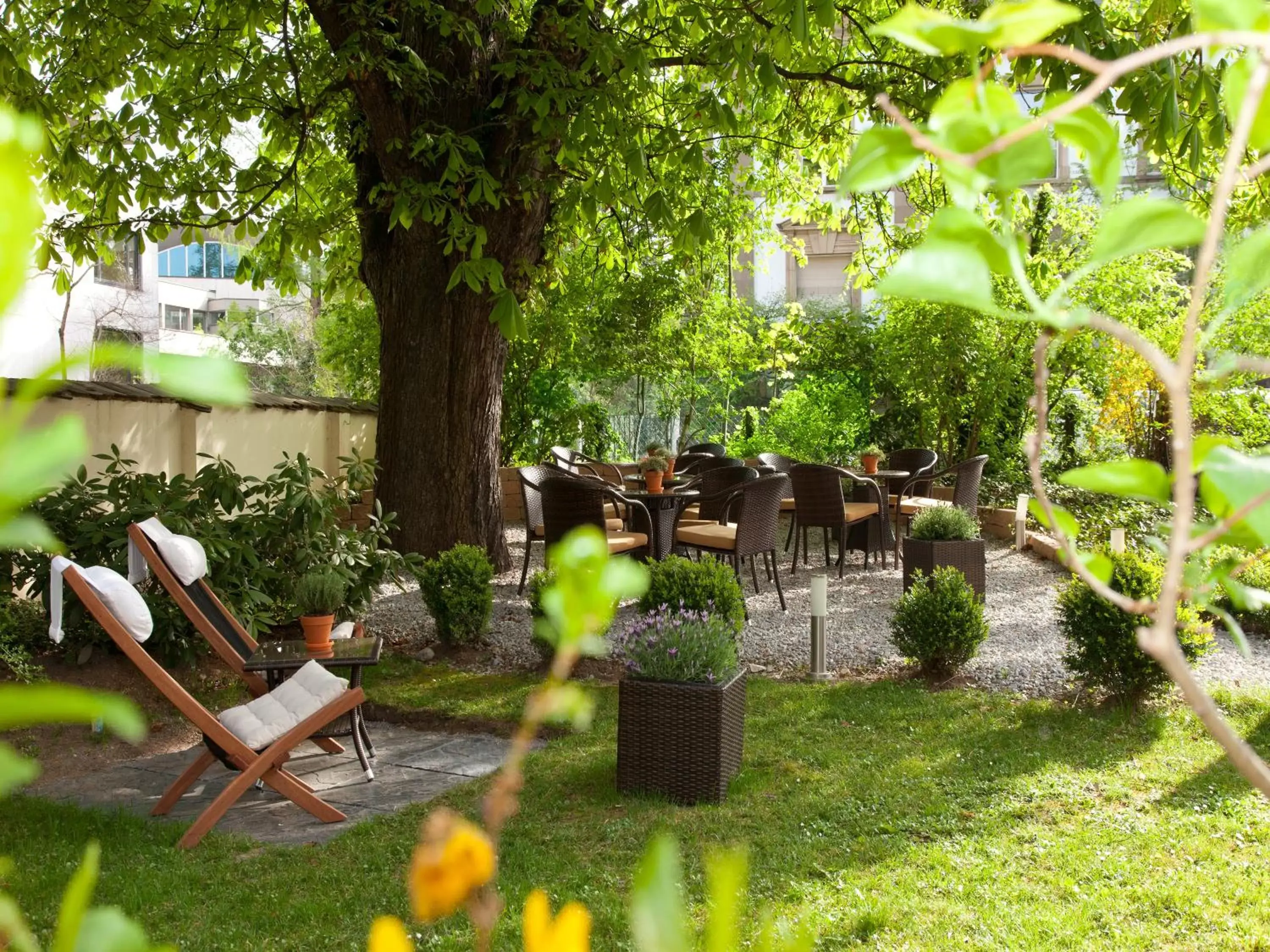 Other, Garden in Hotel Spalentor - Ihr sympathisches Stadthotel