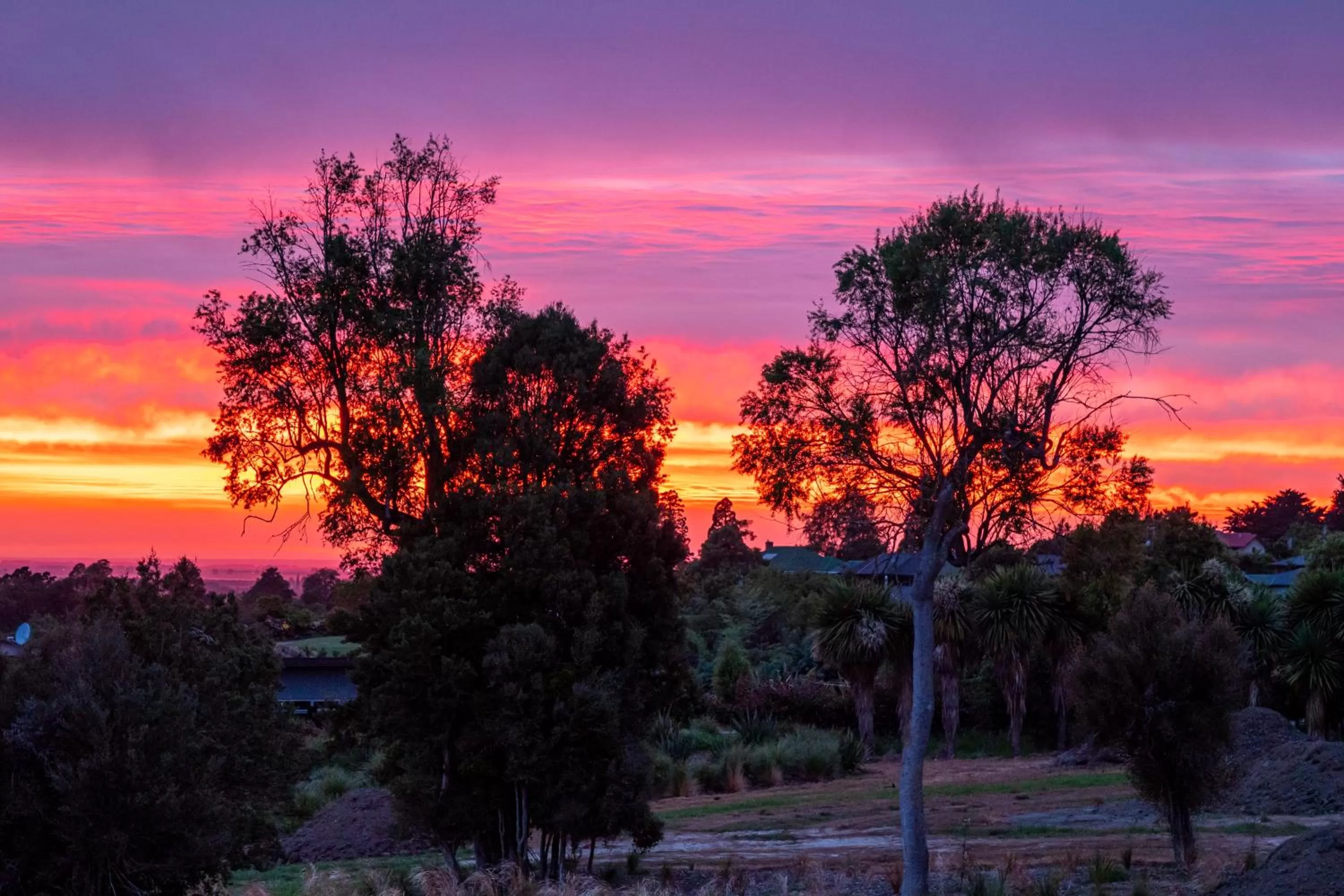 Natural landscape in Ngā Whare Mānatu