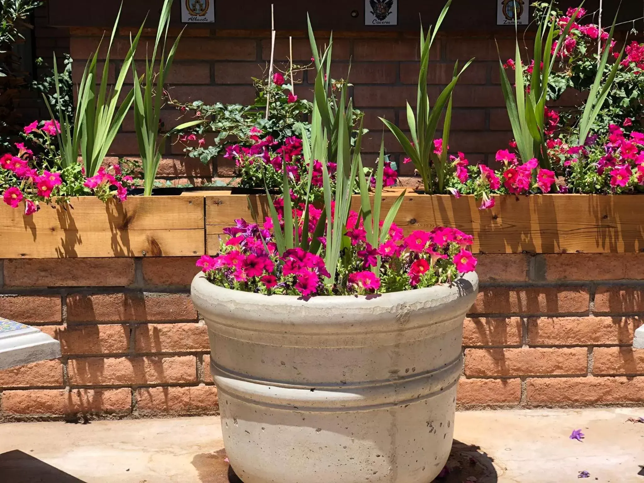 Garden in Sierra Suites Boutique Hotel