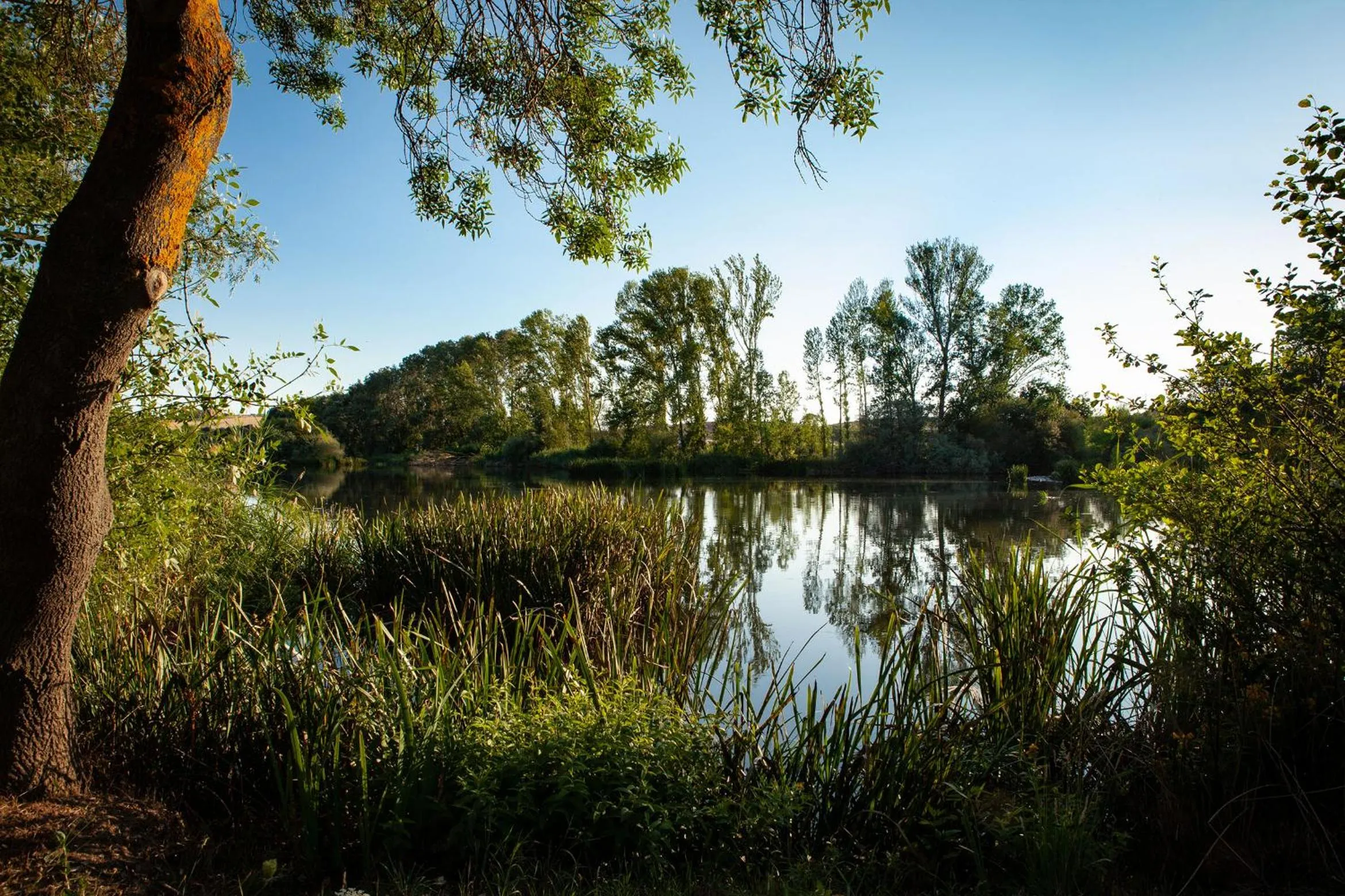 Hotel Doña Brígida – Salamanca Forum