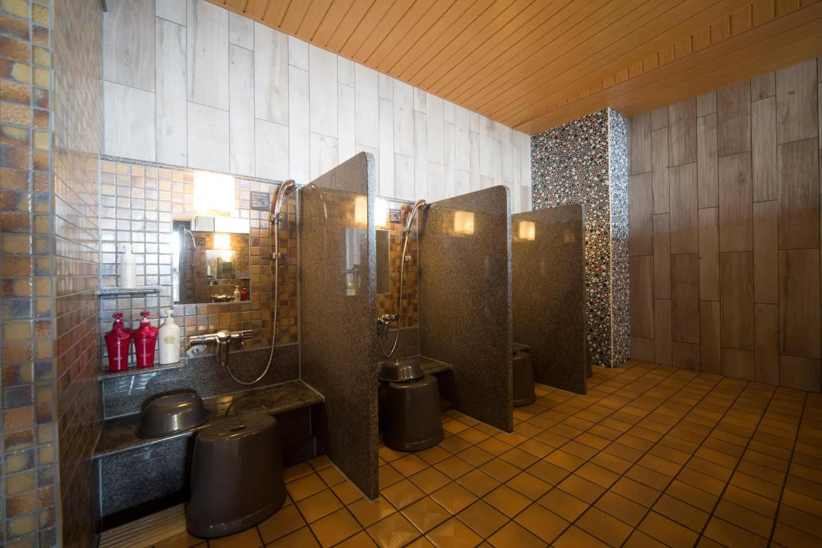 Public Bath, Bathroom in Dormy Inn Izumo