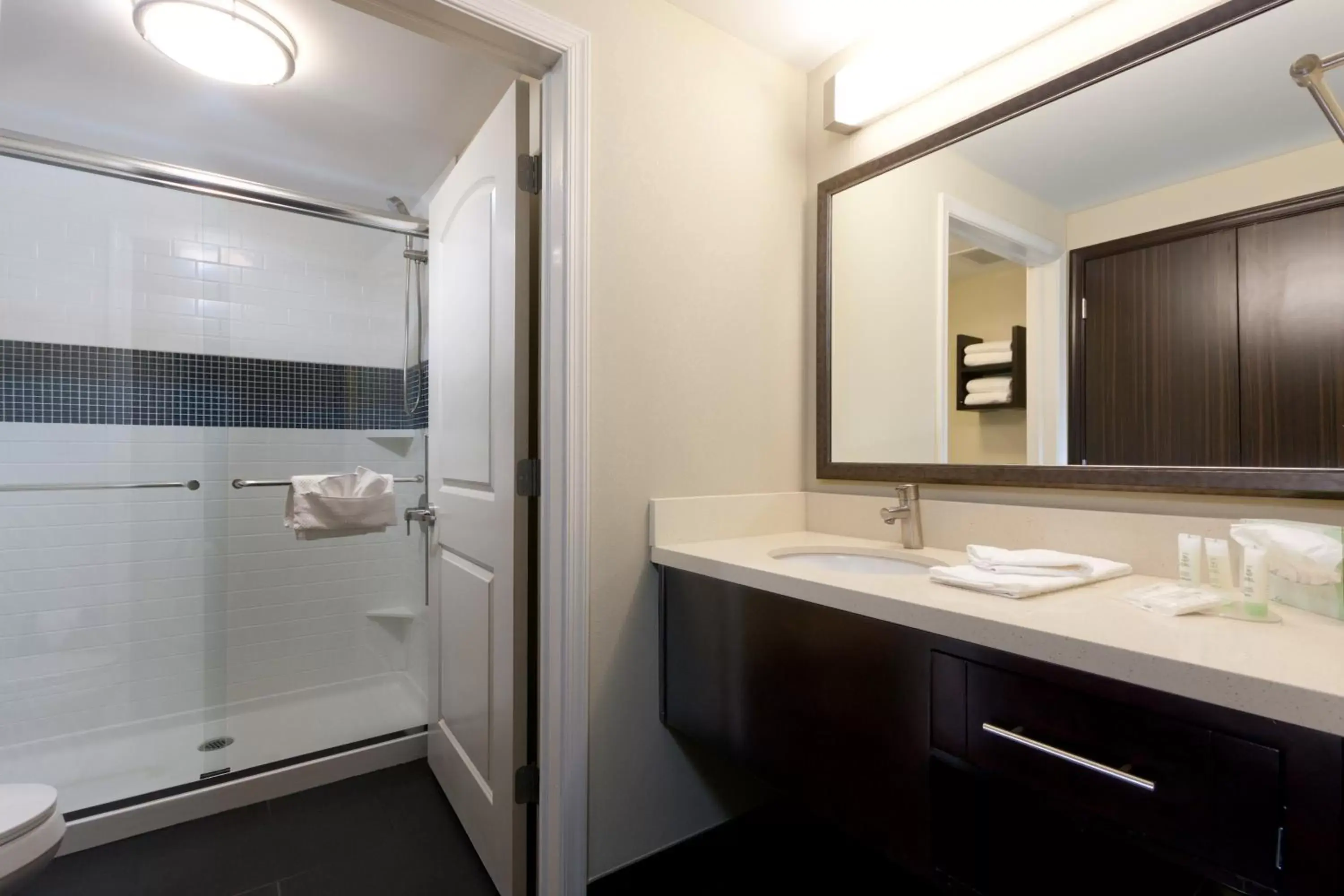Shower, Bathroom in Staybridge Suites Buffalo-Amherst, an IHG Hotel