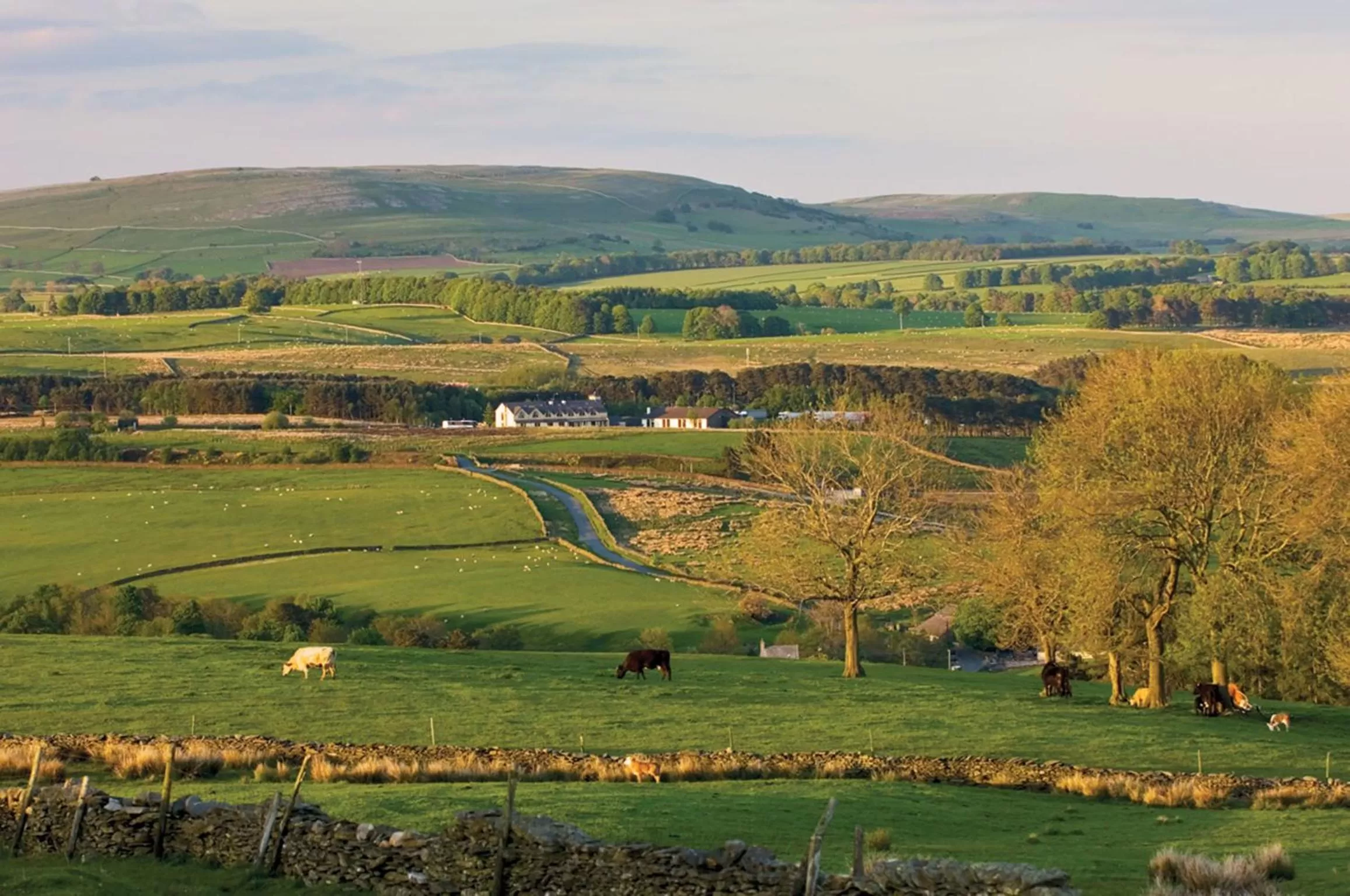 View (from property/room) in Westmorland Hotel Tebay