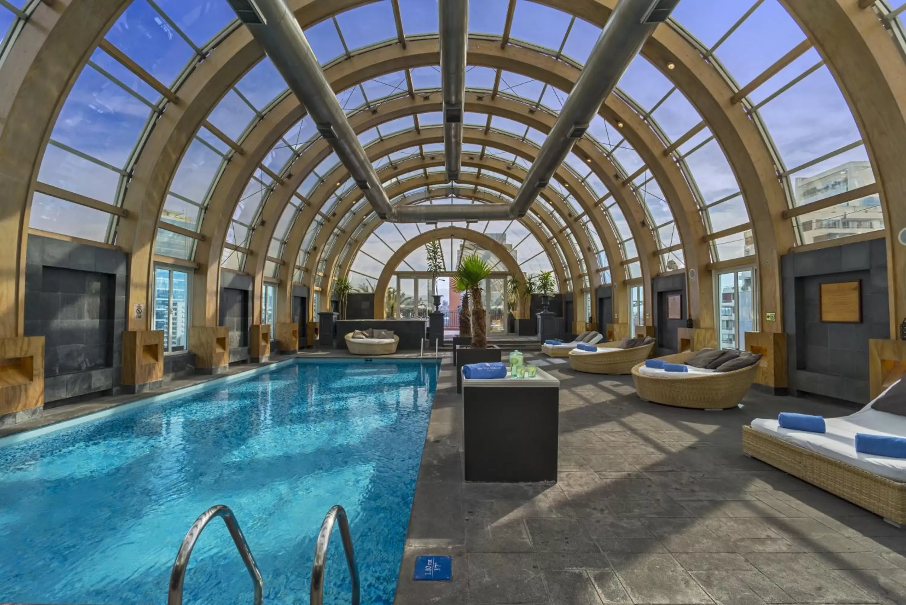 Swimming Pool in The Ritz-Carlton, Santiago