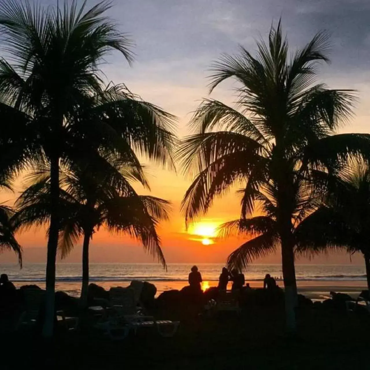 Natural landscape in Beach Break Resort