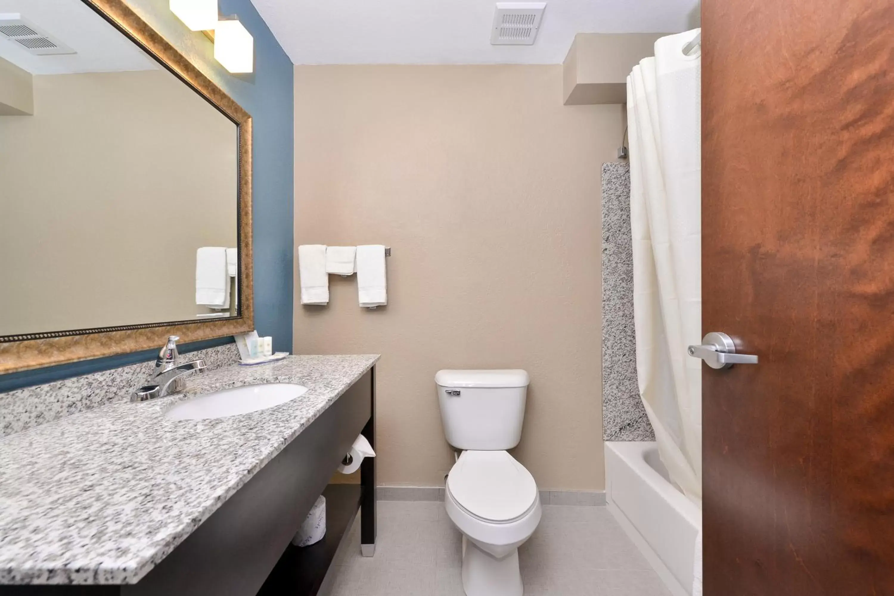 Bathroom in Comfort Inn & Suites Springfield I-55