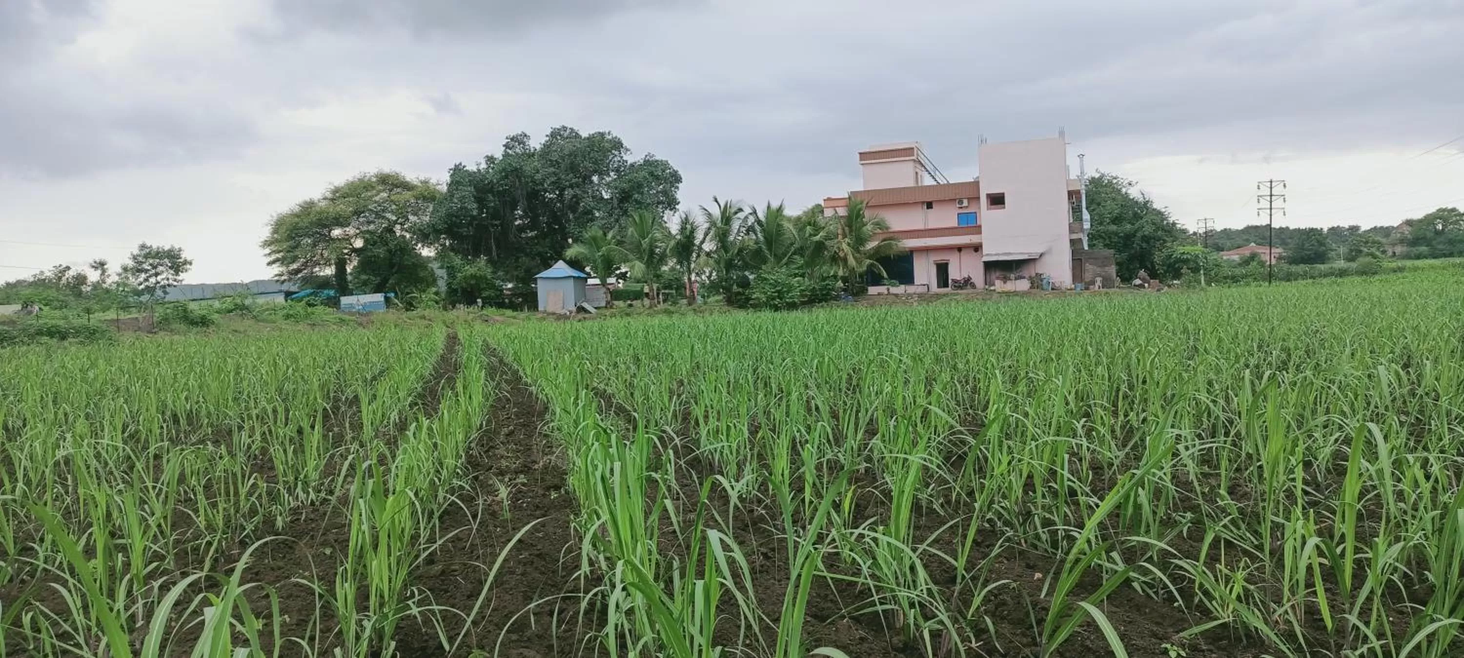 Hotel Nisarg Lodging And Restaurant