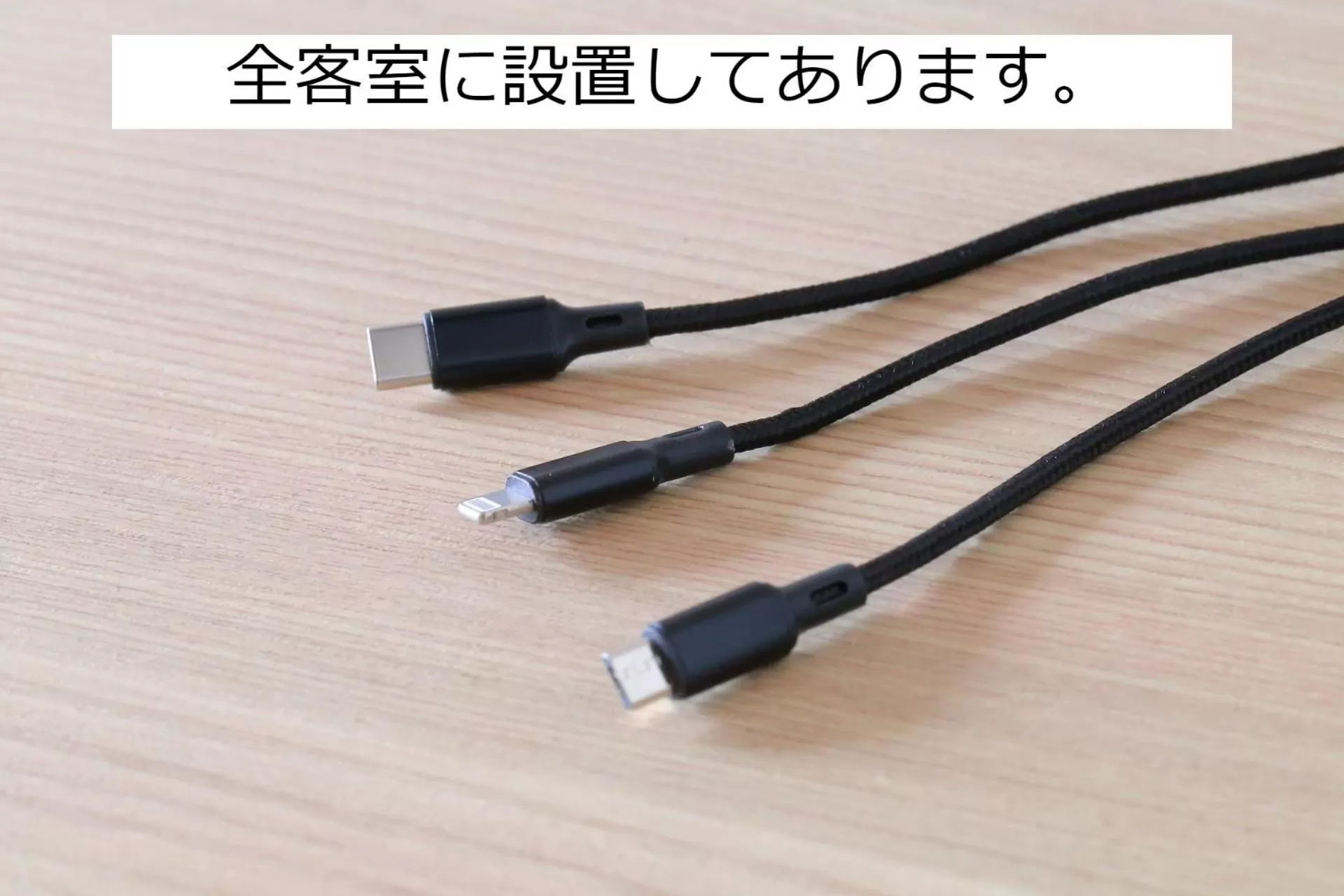 Area and facilities in Henn na Hotel Kanazawa Korimbo