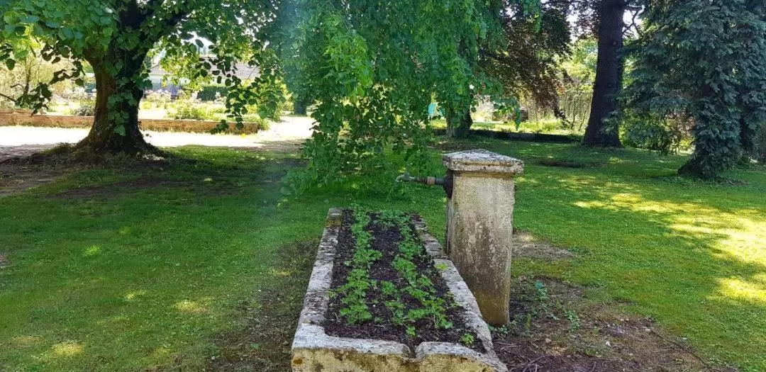 De passage chez Lili