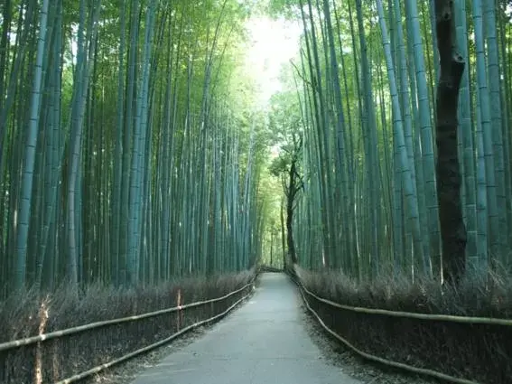 Nearby landmark in EN HOTEL Kyoto