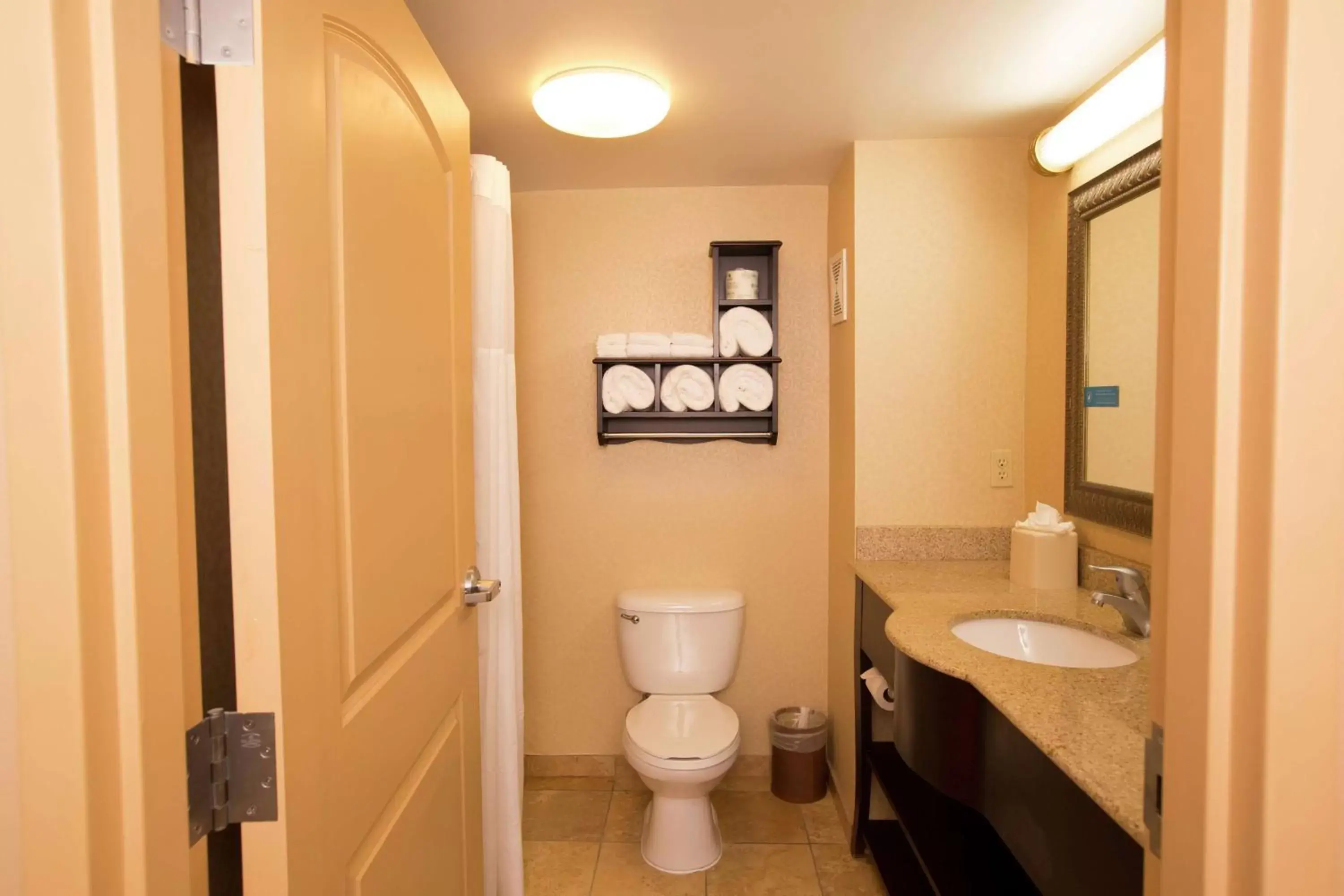 Bathroom in Hampton Inn & Suites Houston Rosenberg
