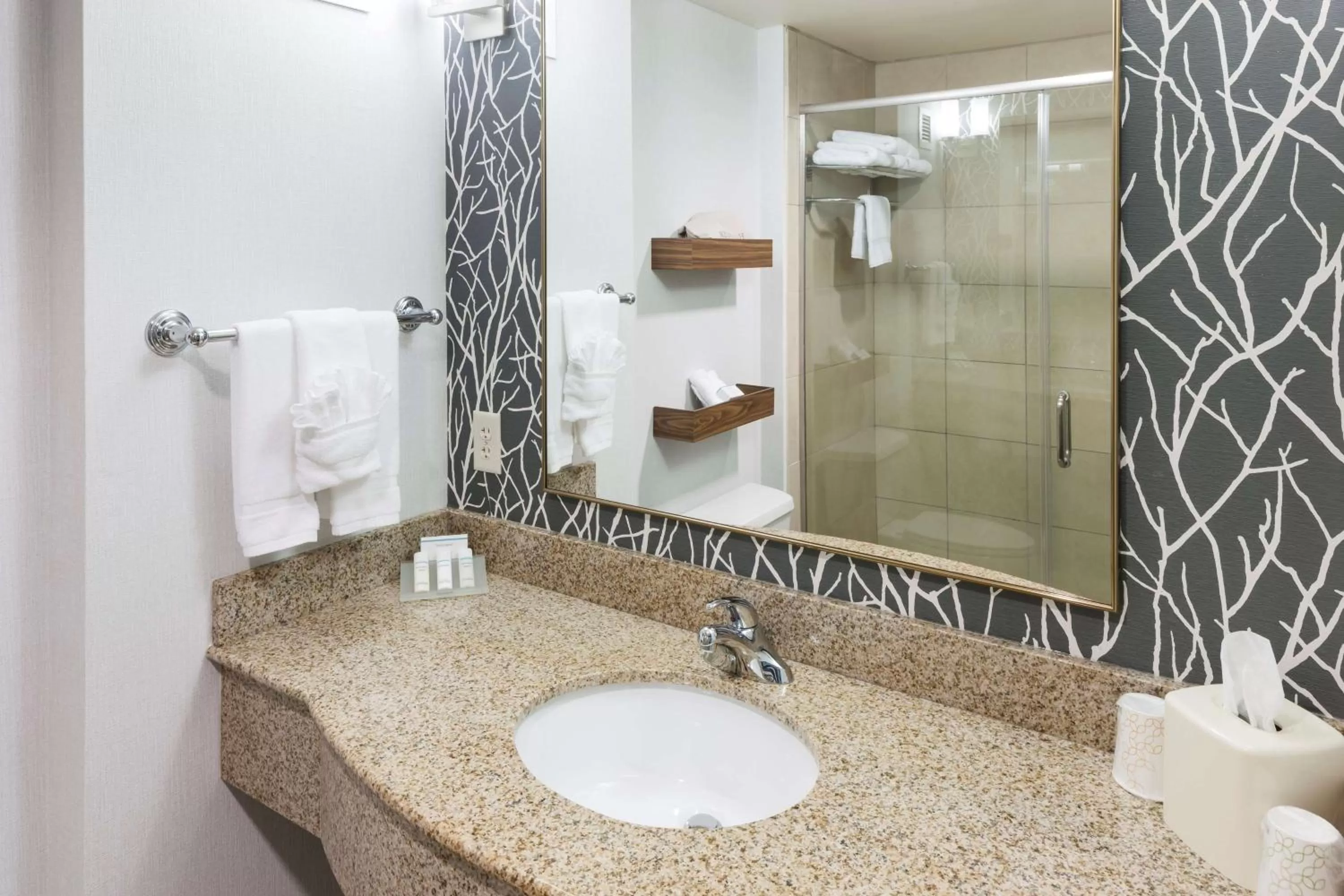 Bathroom in Hilton Garden Inn Austin North