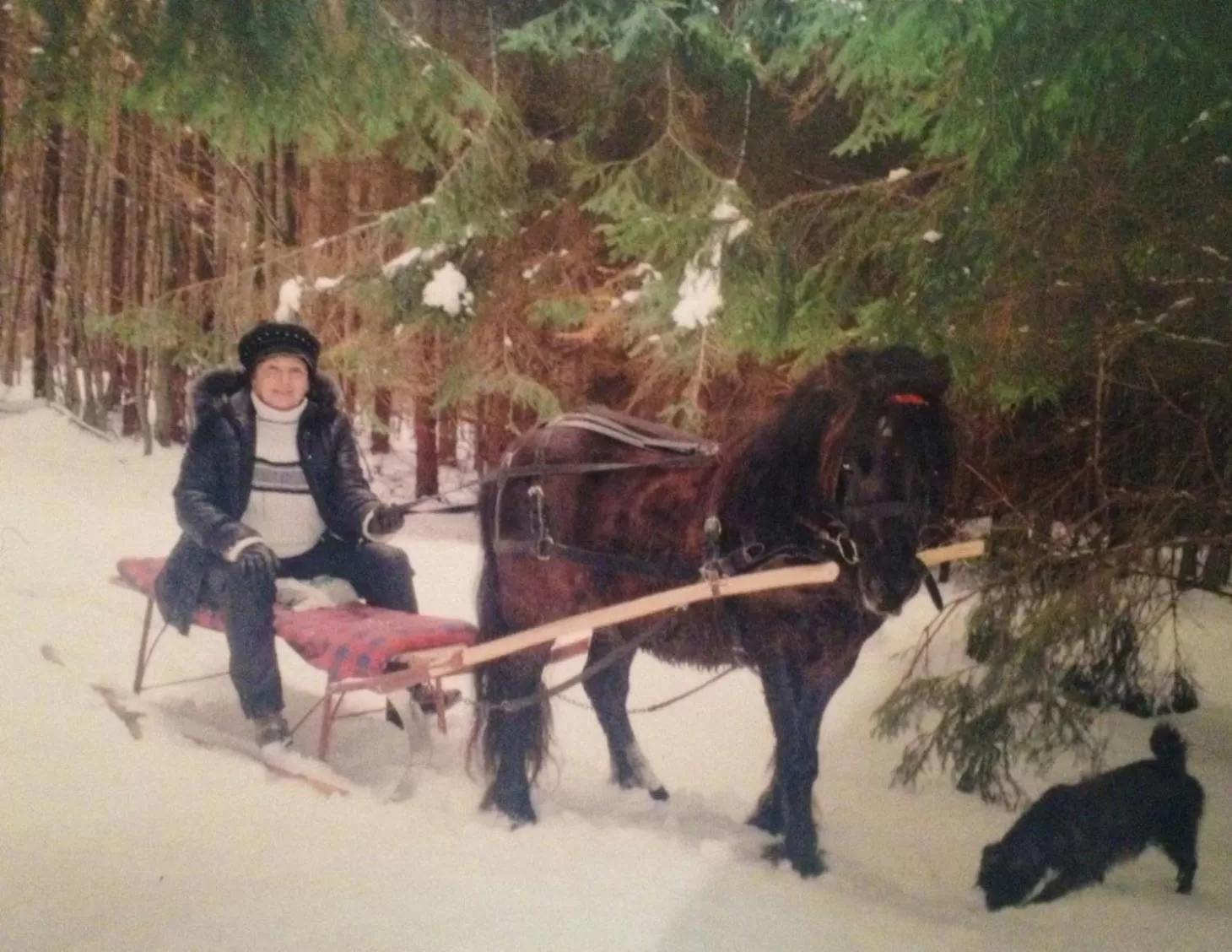 People in Pensiunea SilvAnka