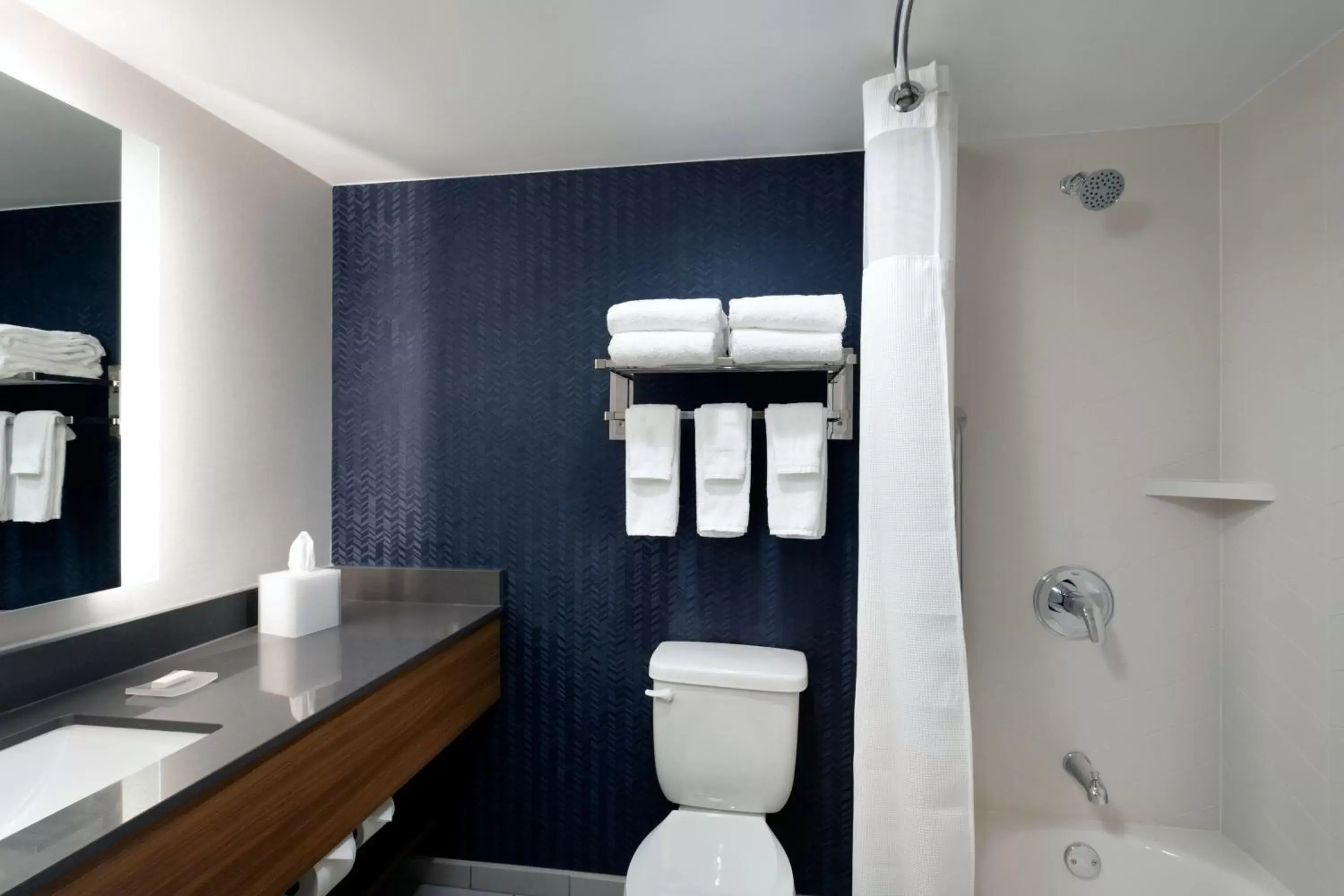 Bathroom in Fairfield Inn & Suites by Marriott Denver Southwest/Lakewood