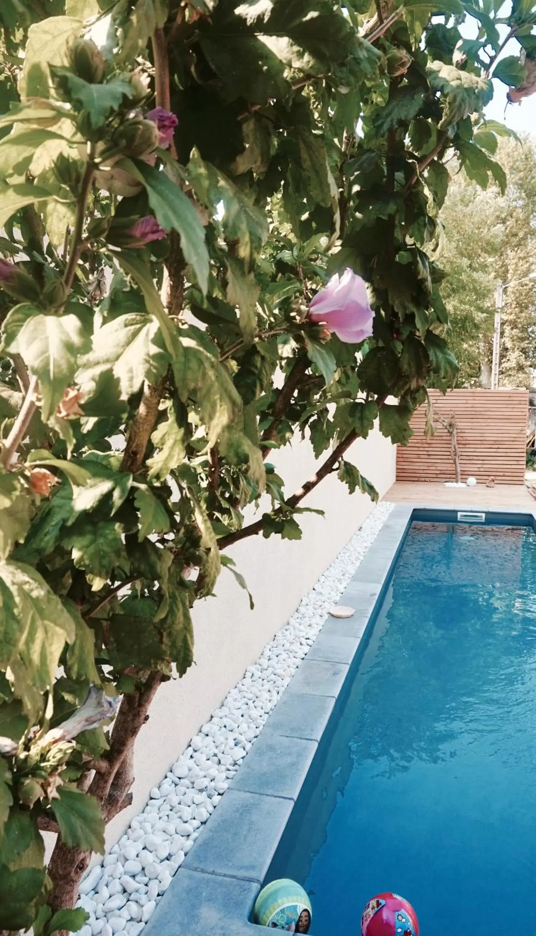 Swimming Pool in La Domitia - Maison d'hôtes, spa, sauna & massages