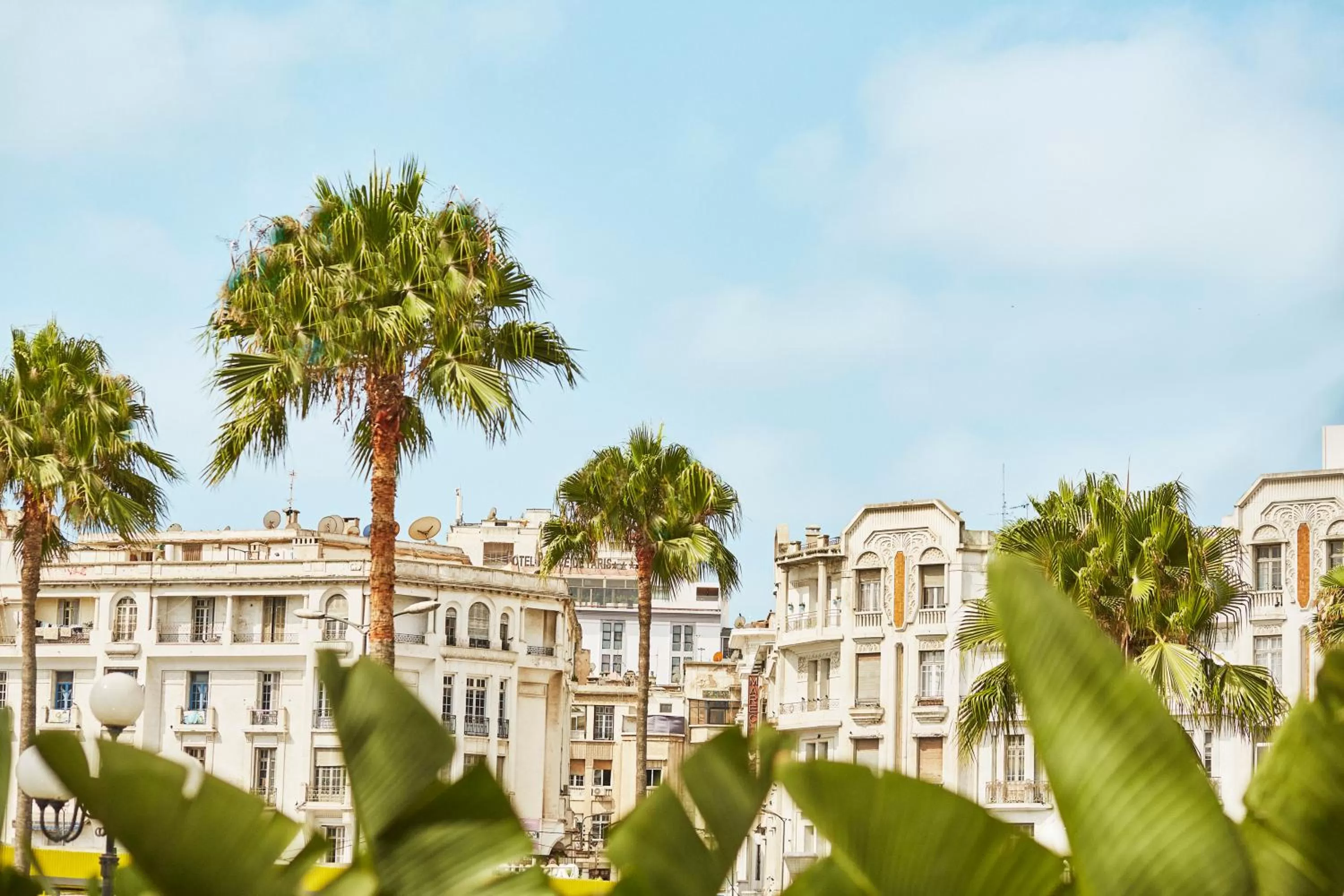 View (from property/room) in Hyatt Regency Casablanca