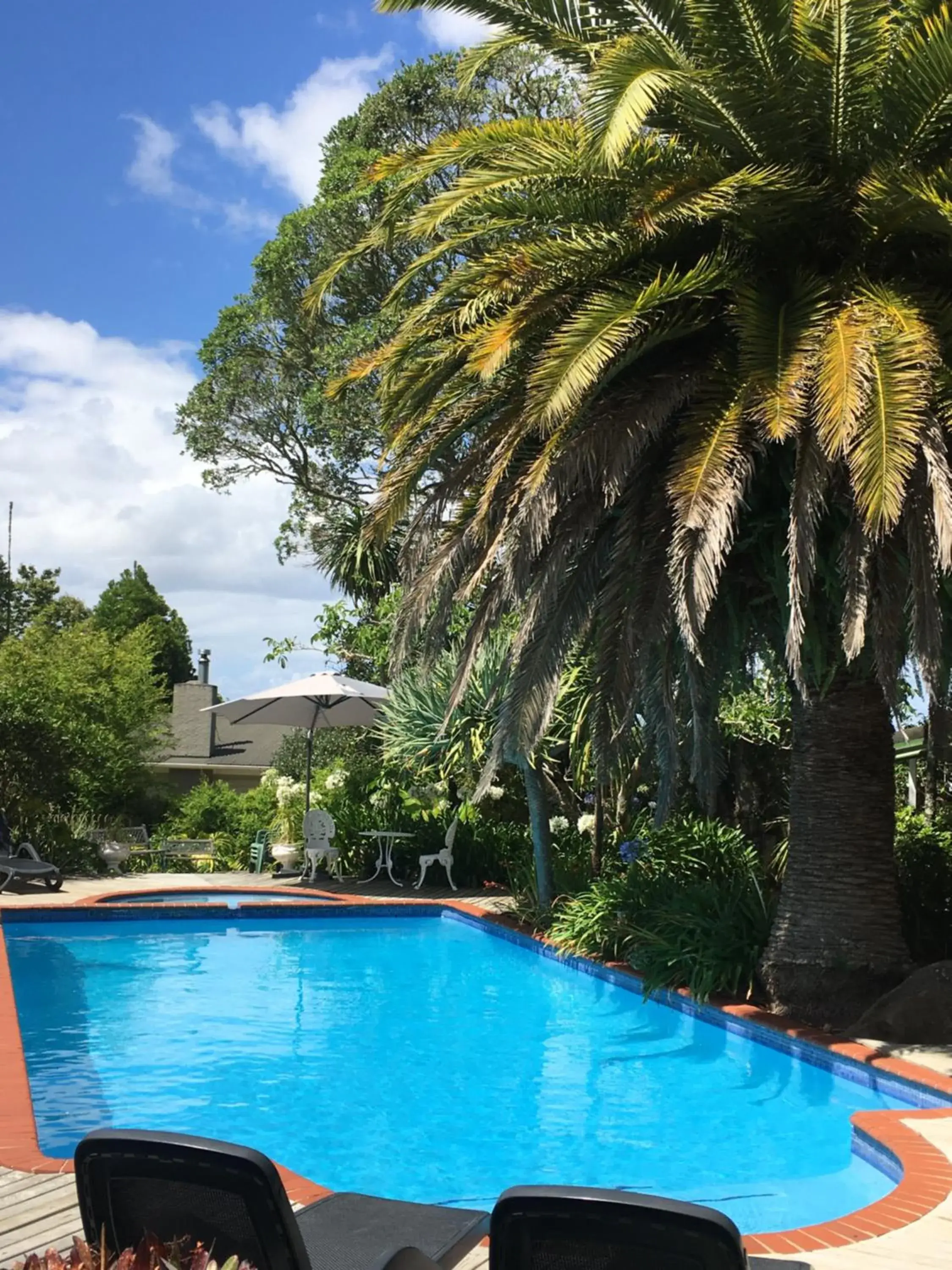 Garden, Swimming Pool in Colonial House Motel