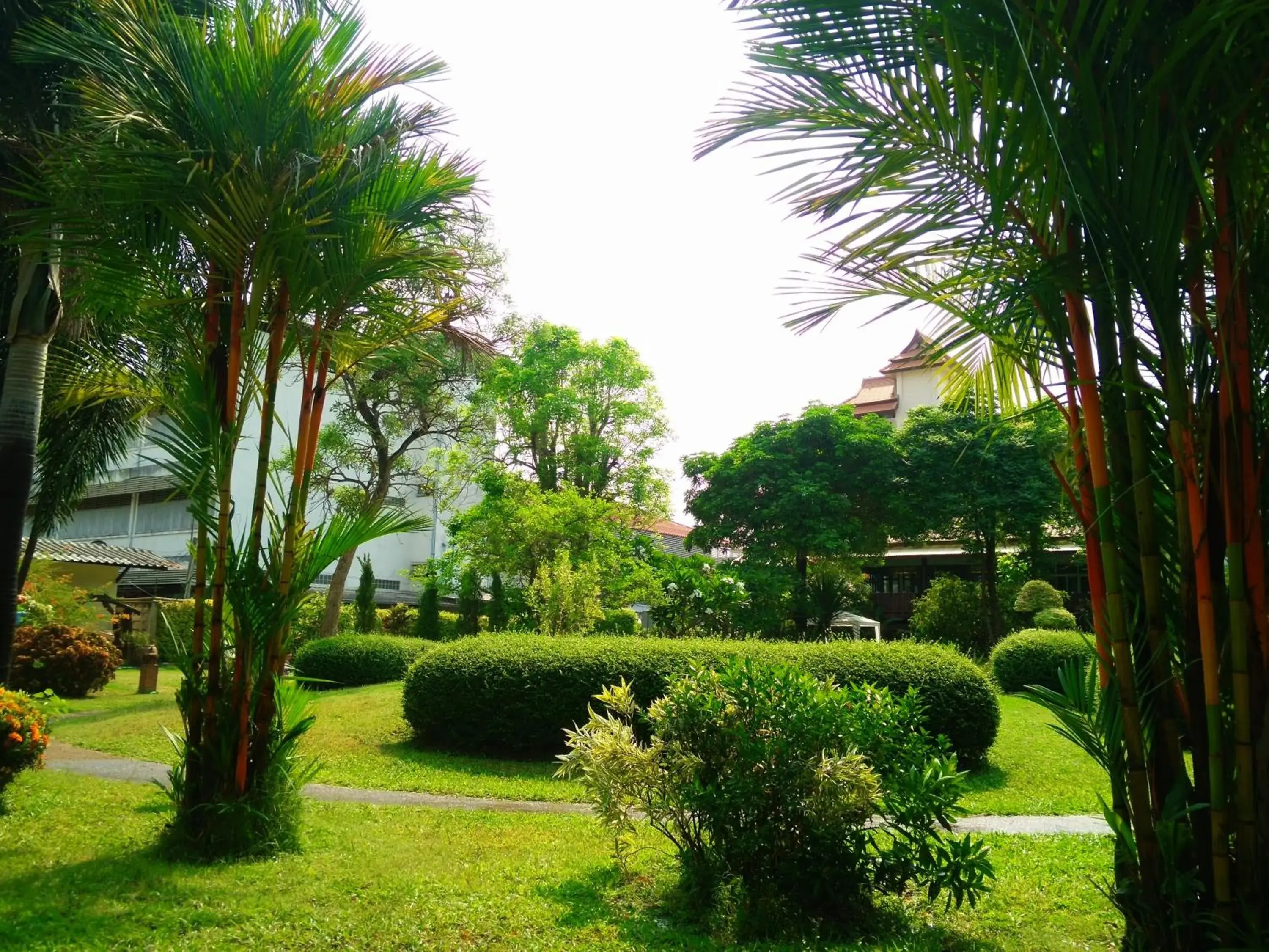 Garden in Swankaburi Boutique Hotel