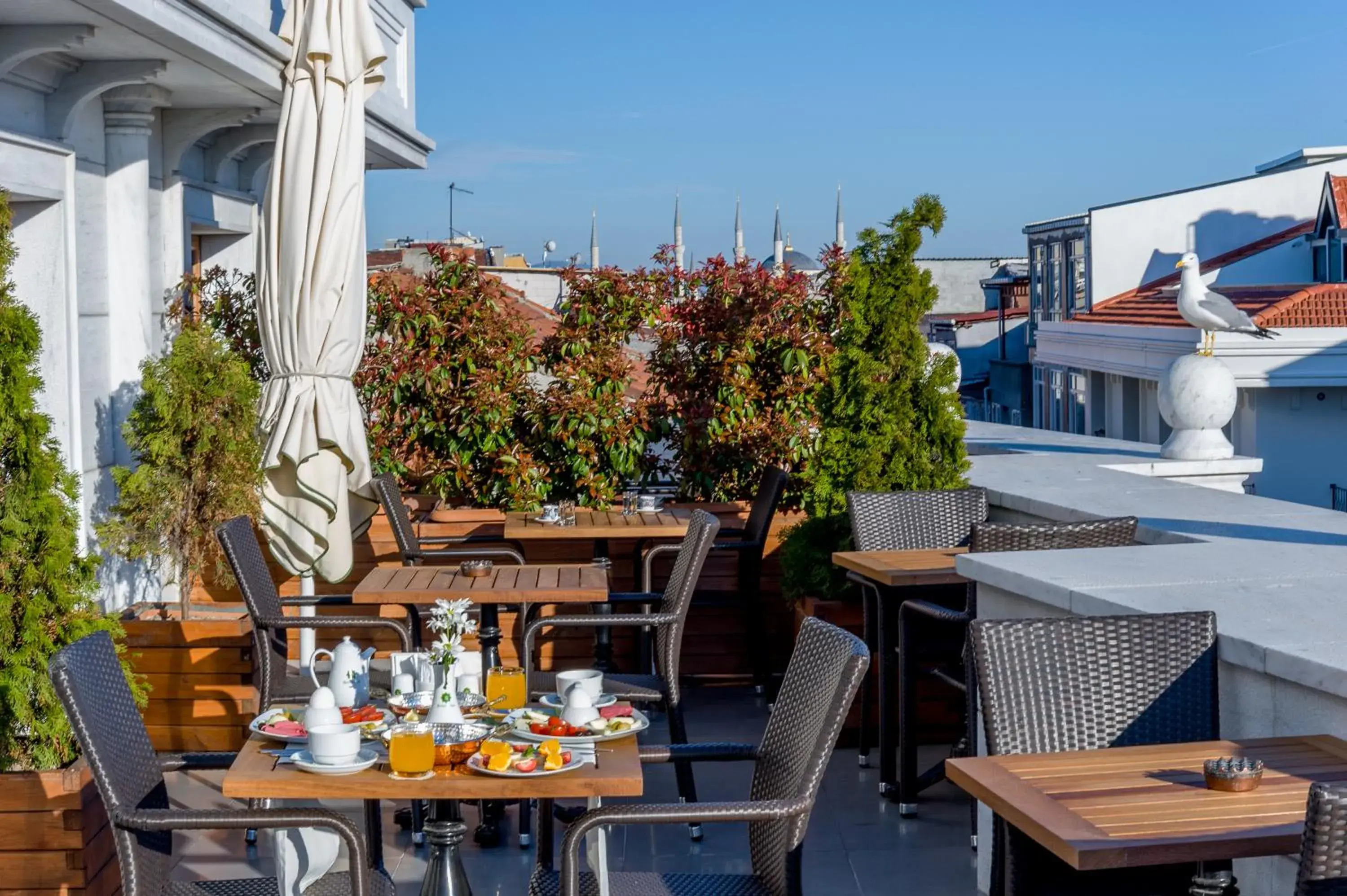 Balcony/Terrace, Restaurant/Places to Eat in Bizim Hotel