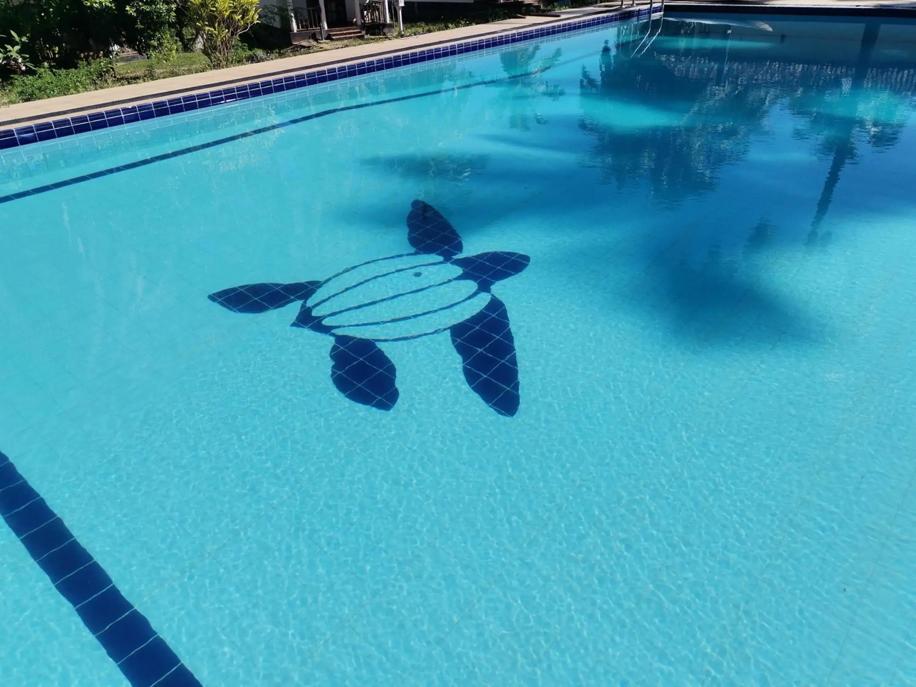 Swimming Pool in Helios Beach Resort