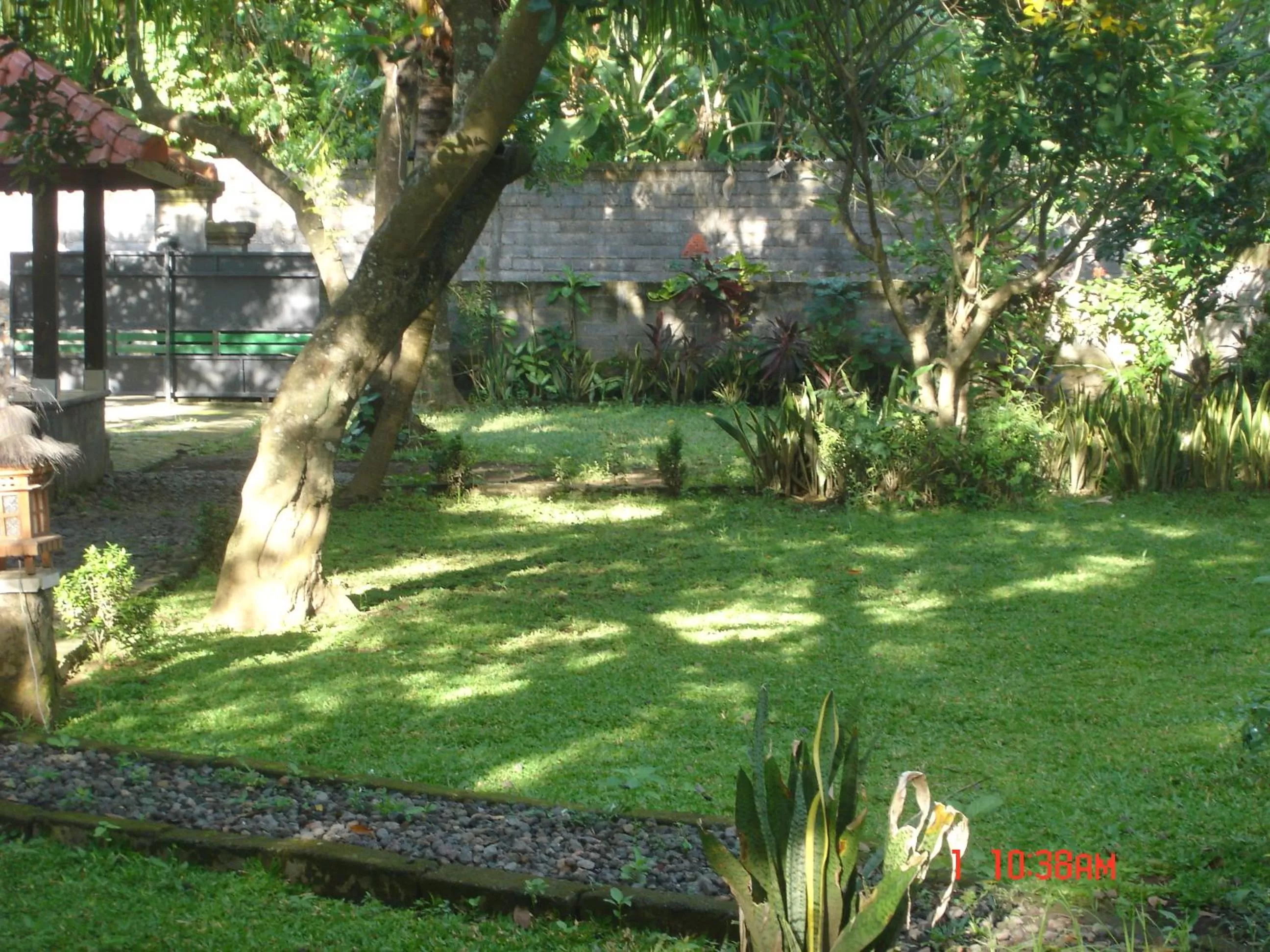 Garden in Penginapan Sedap Malam