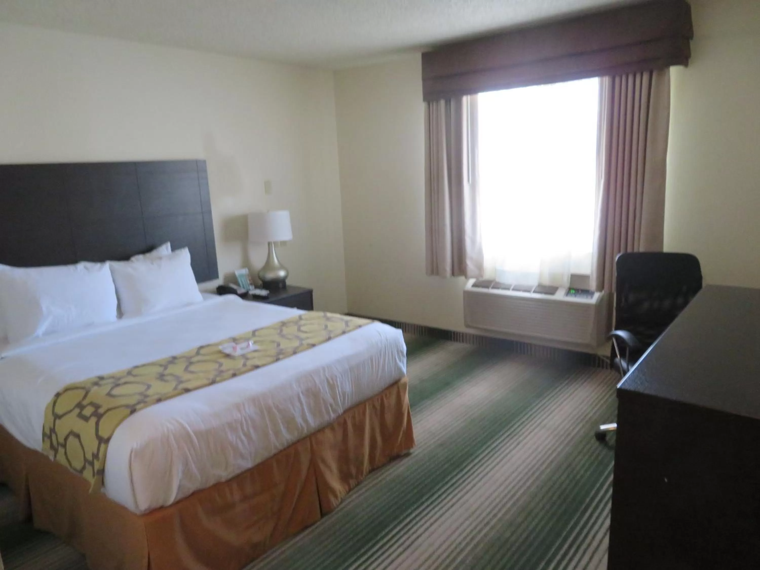 Bedroom in GreenTree Inn Montrose