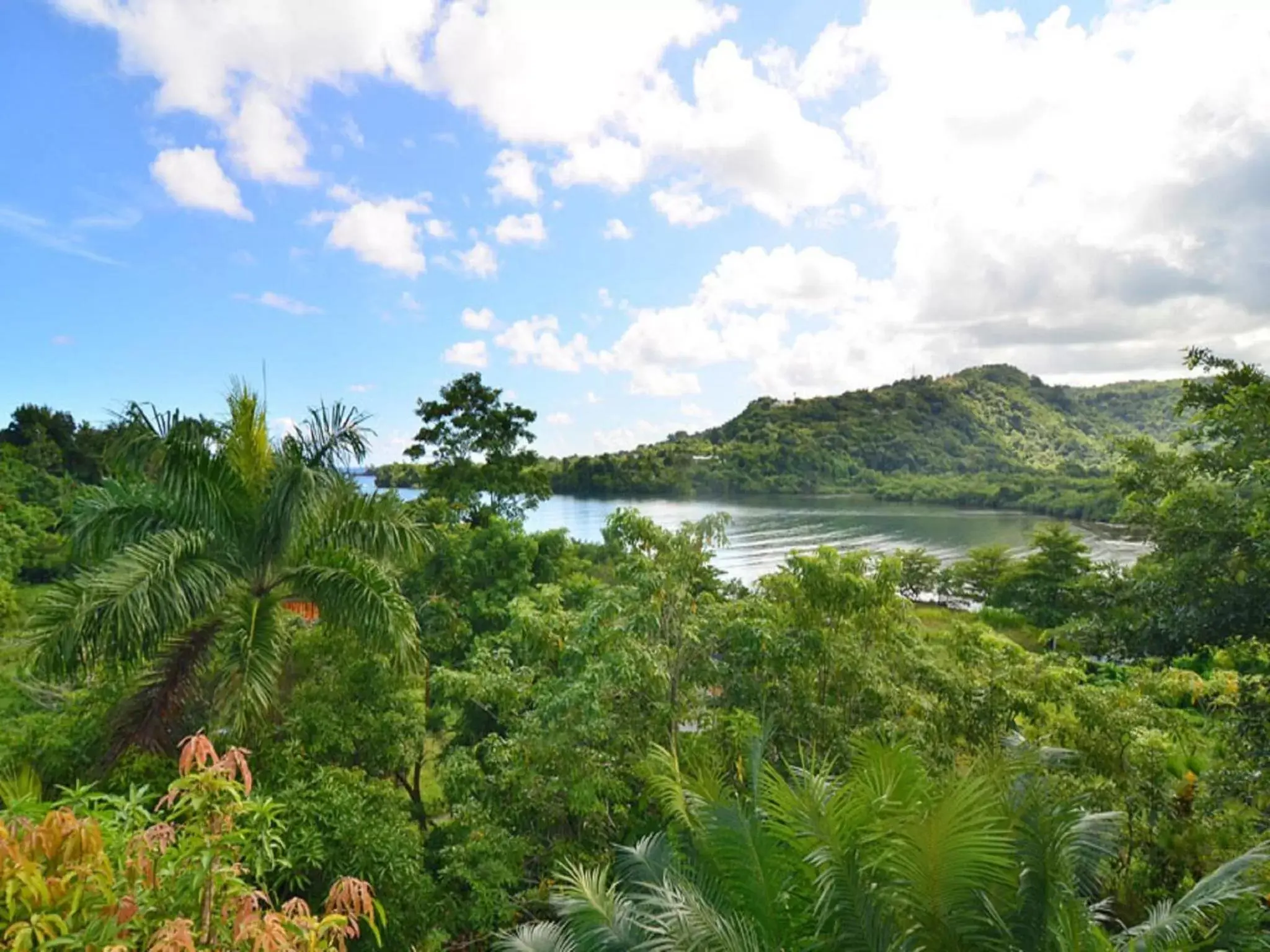 View (from property/room), Natural Landscape in Bay View Eco Resort & Spa