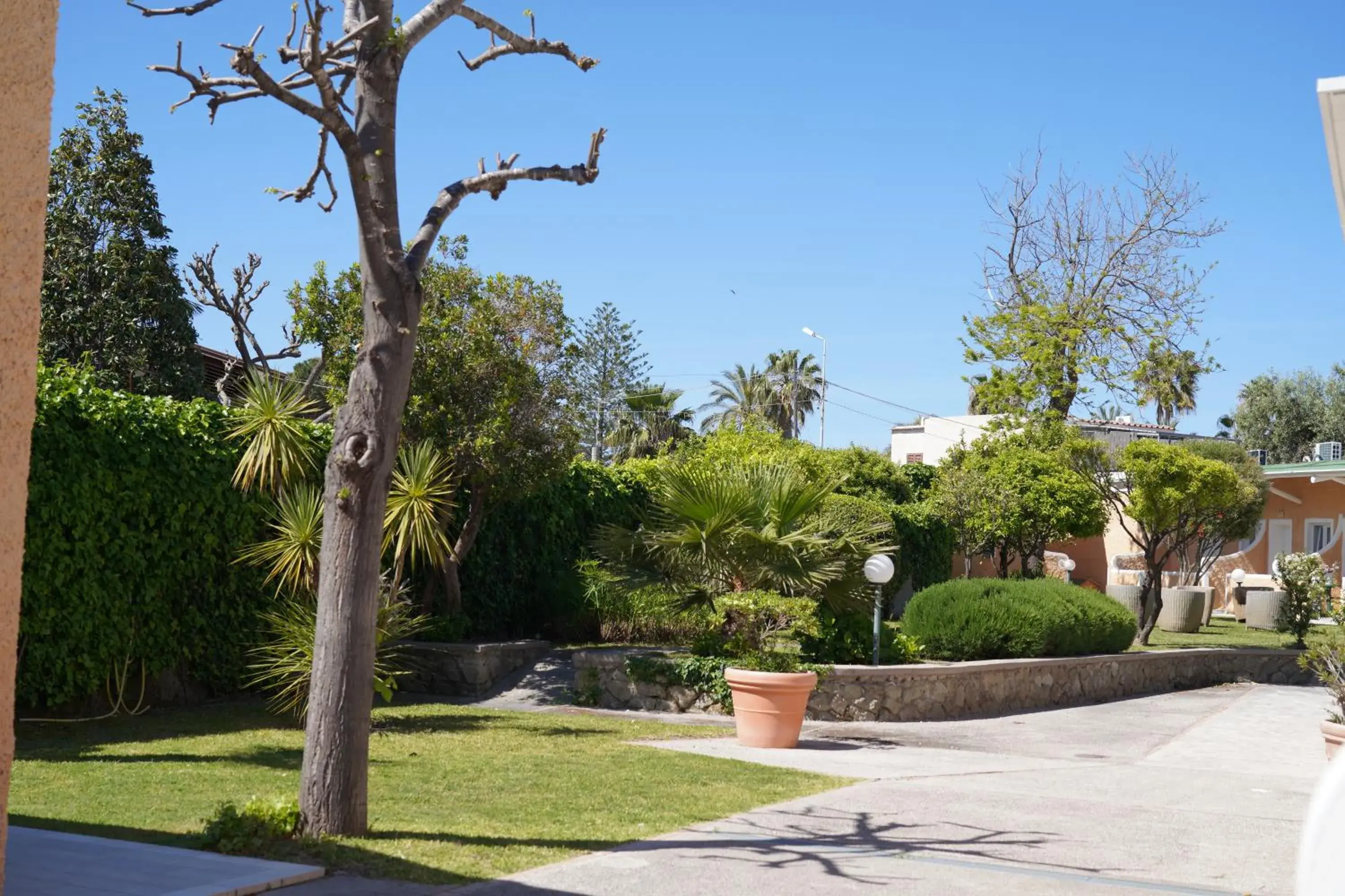 Garden in Hotel Parco Delle Agavi