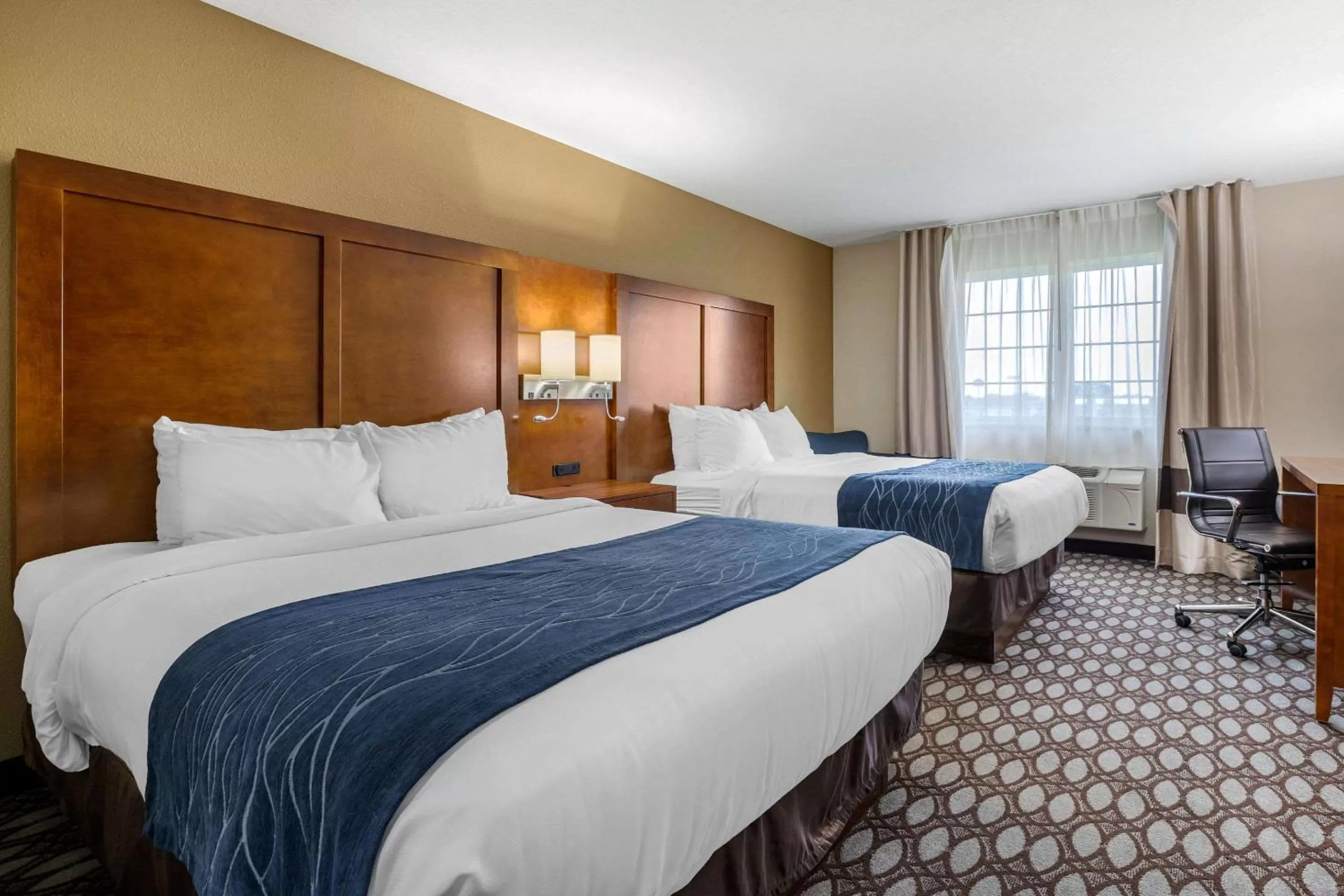 Photo of the whole room, Bed in Comfort Inn