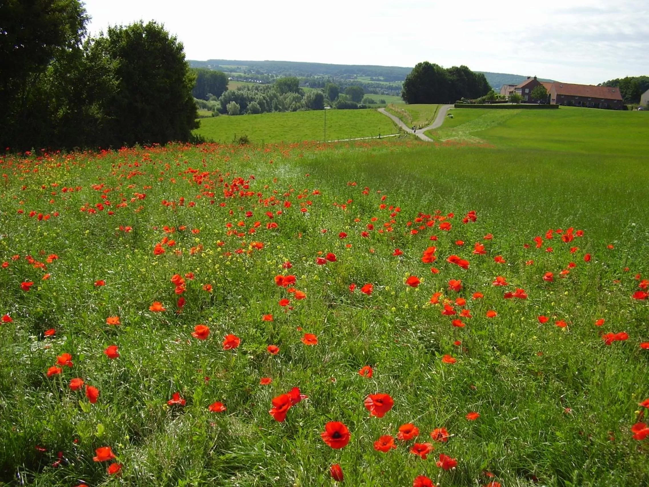 Area and facilities in Hotel Brull