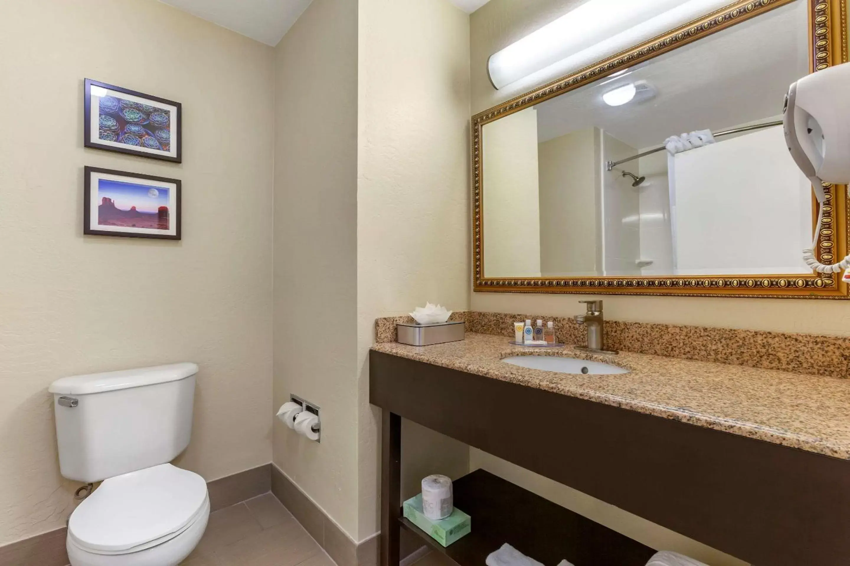 Bedroom, Bathroom in Comfort Inn & Suites Surprise Near Sun City West
