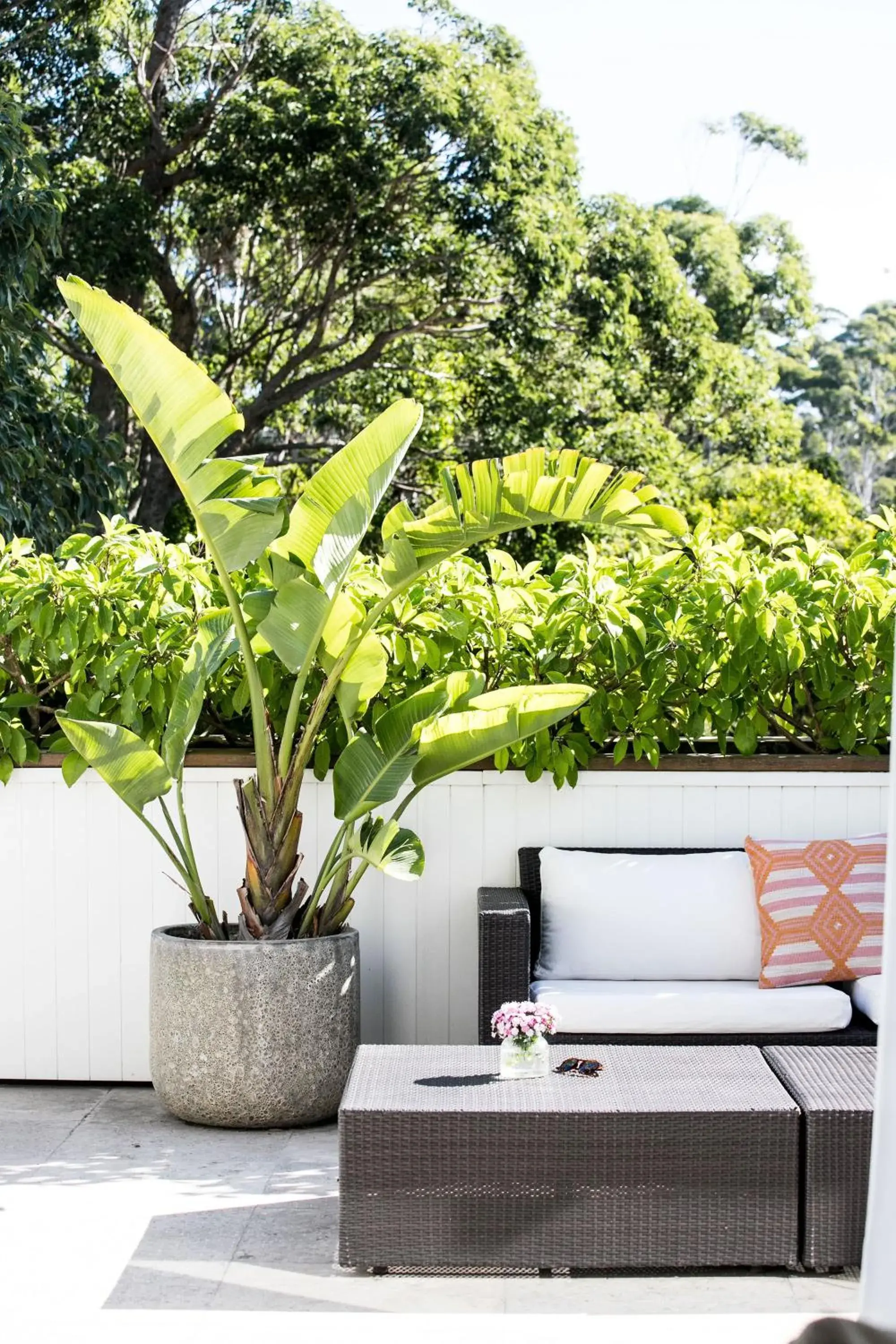 Balcony/Terrace in Bannisters by the Sea Mollymook