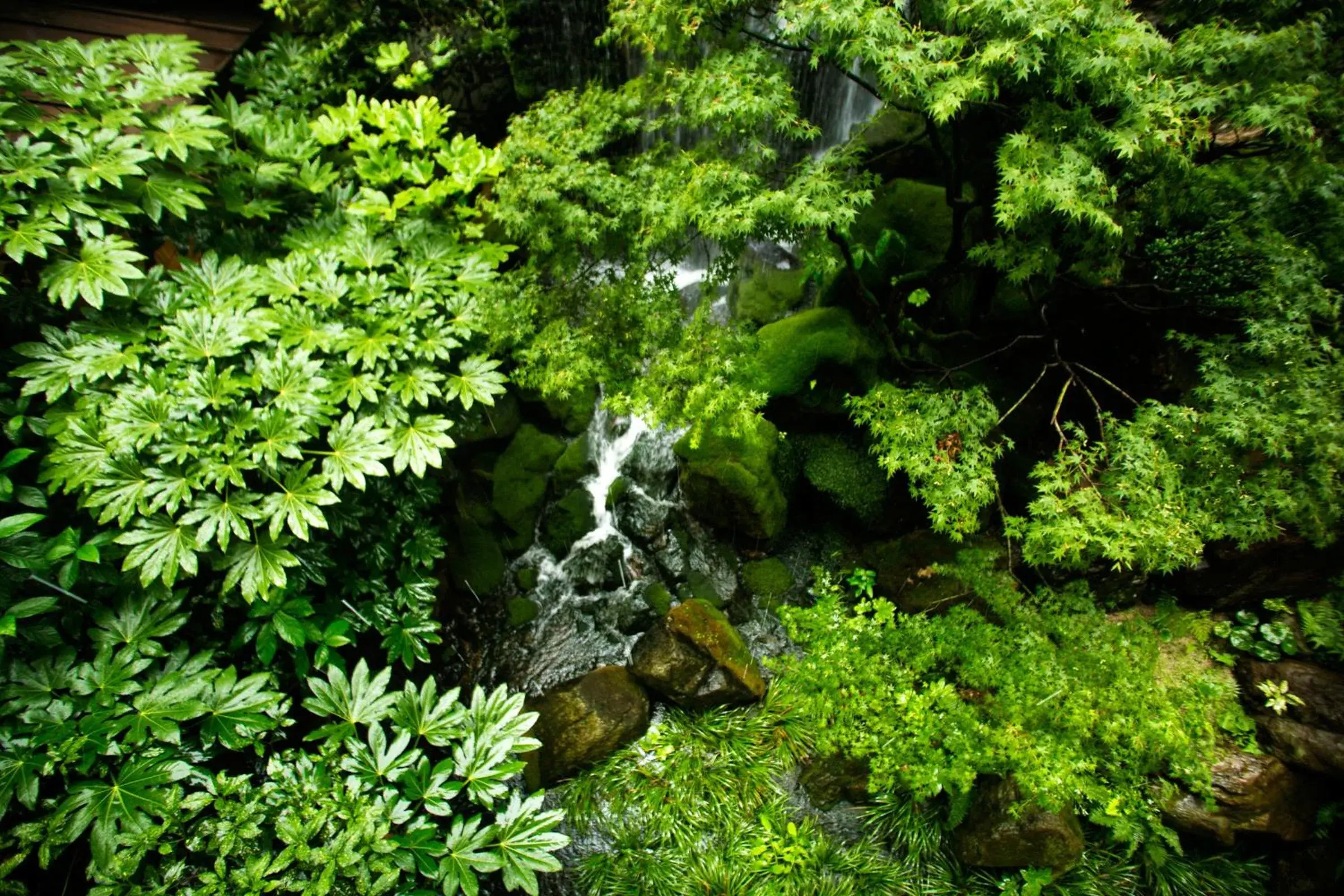 Decorative detail, Garden in Ryokan Nishi-no-Miyabi Tokiwa