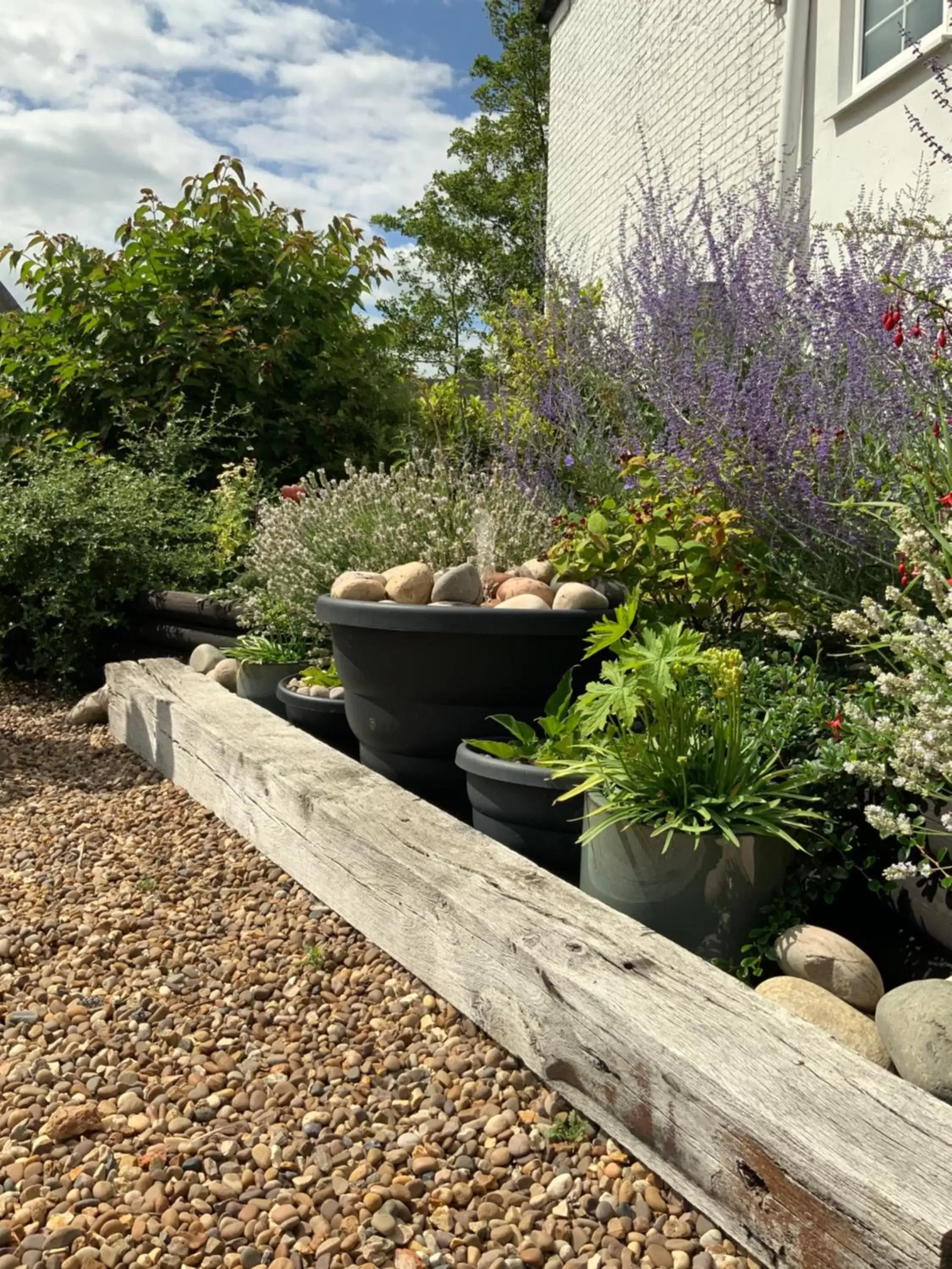 Garden in The Red Lion Inn