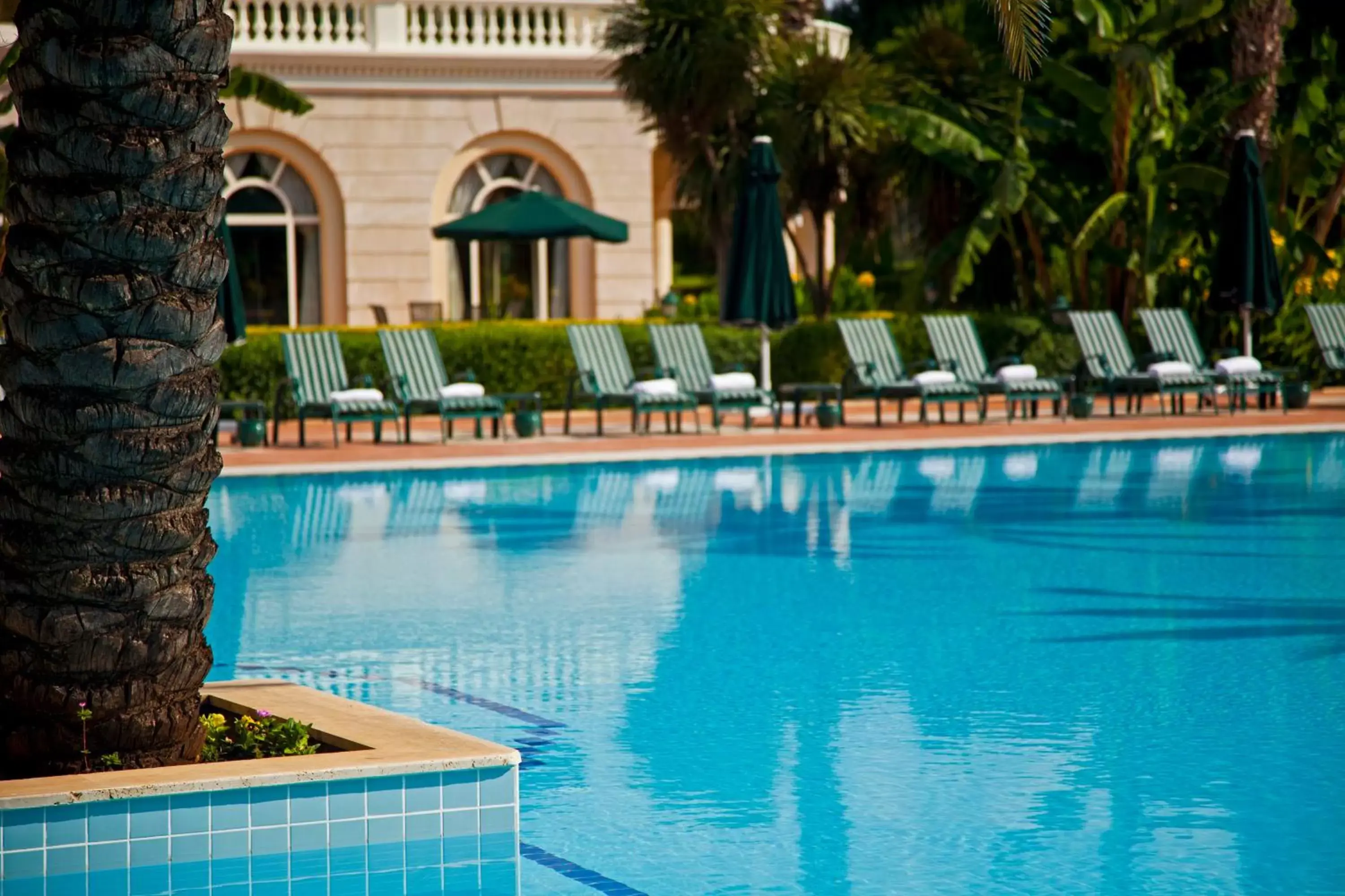 Pool view, Swimming Pool in IC Hotels Airport