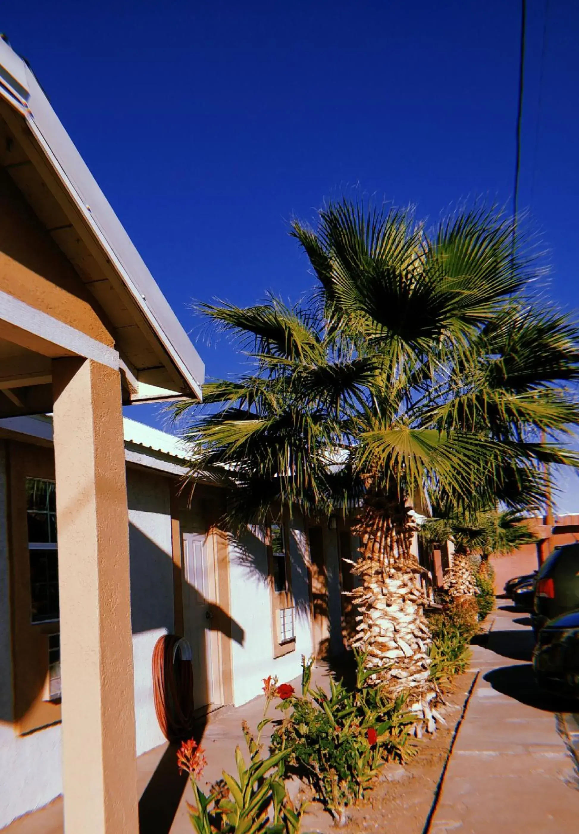 Property Building in Desert Inn