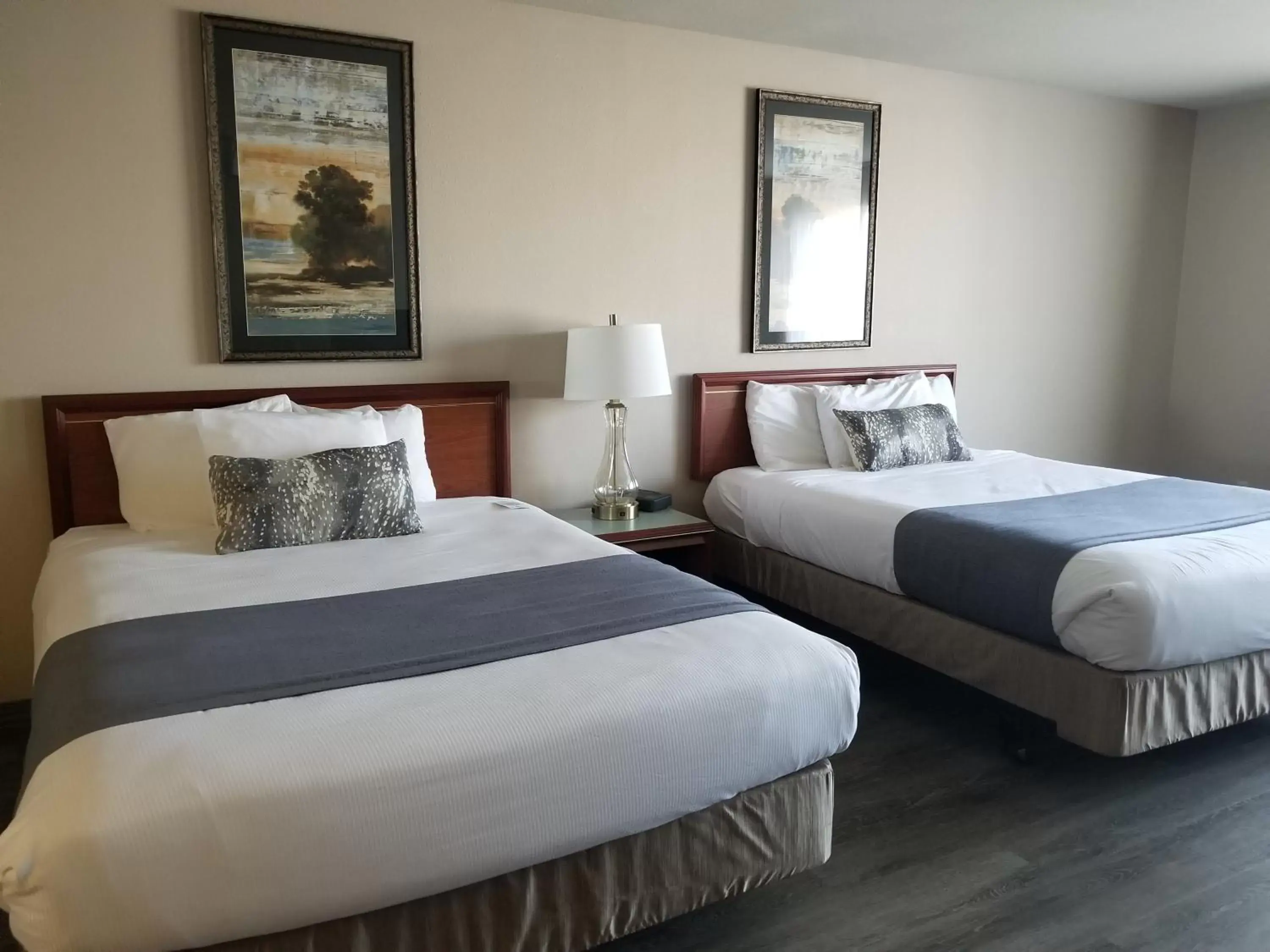 Bed in Shilo Inn Suites Salem