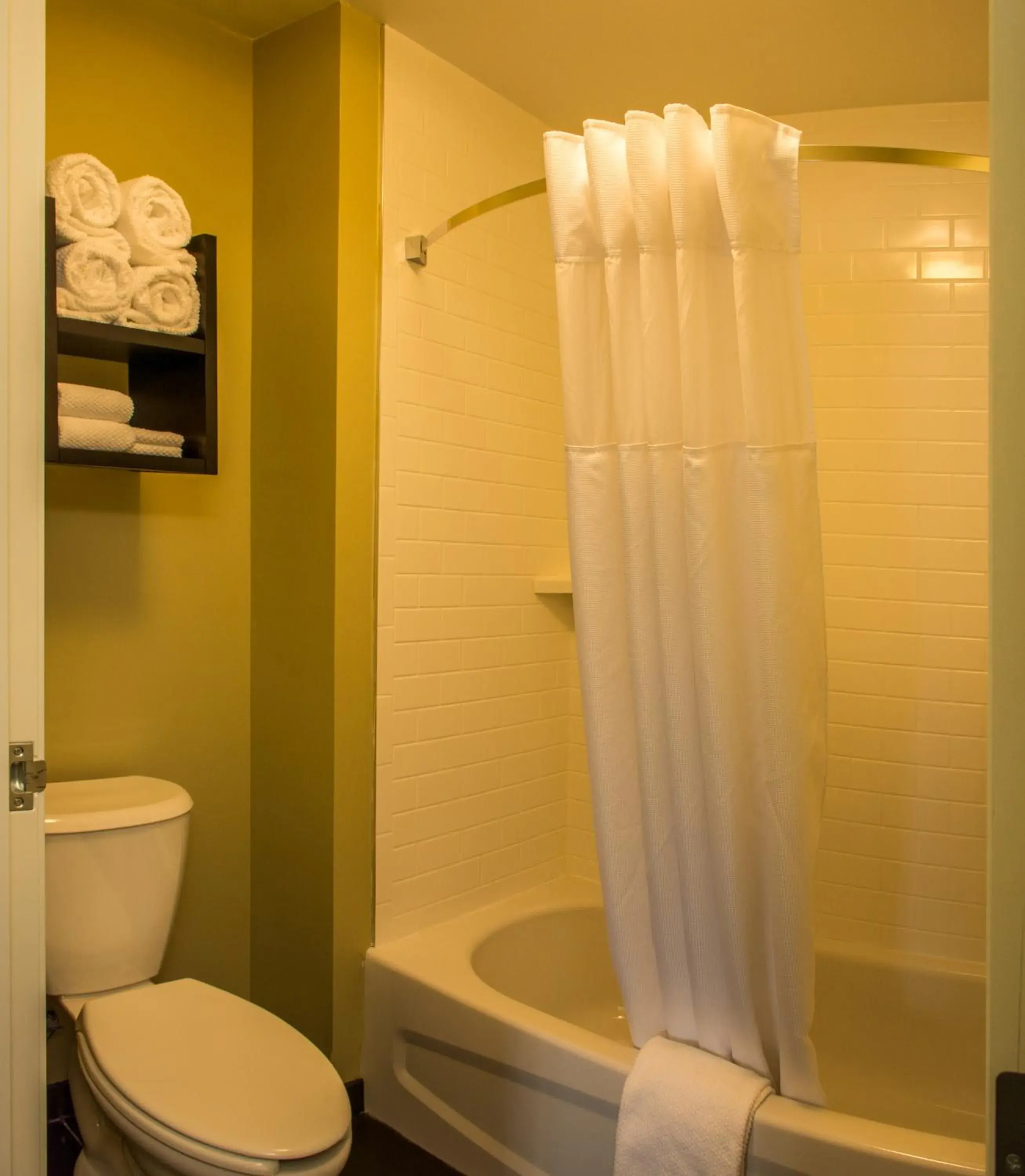 Shower, Bathroom in Staybridge Suites Schererville