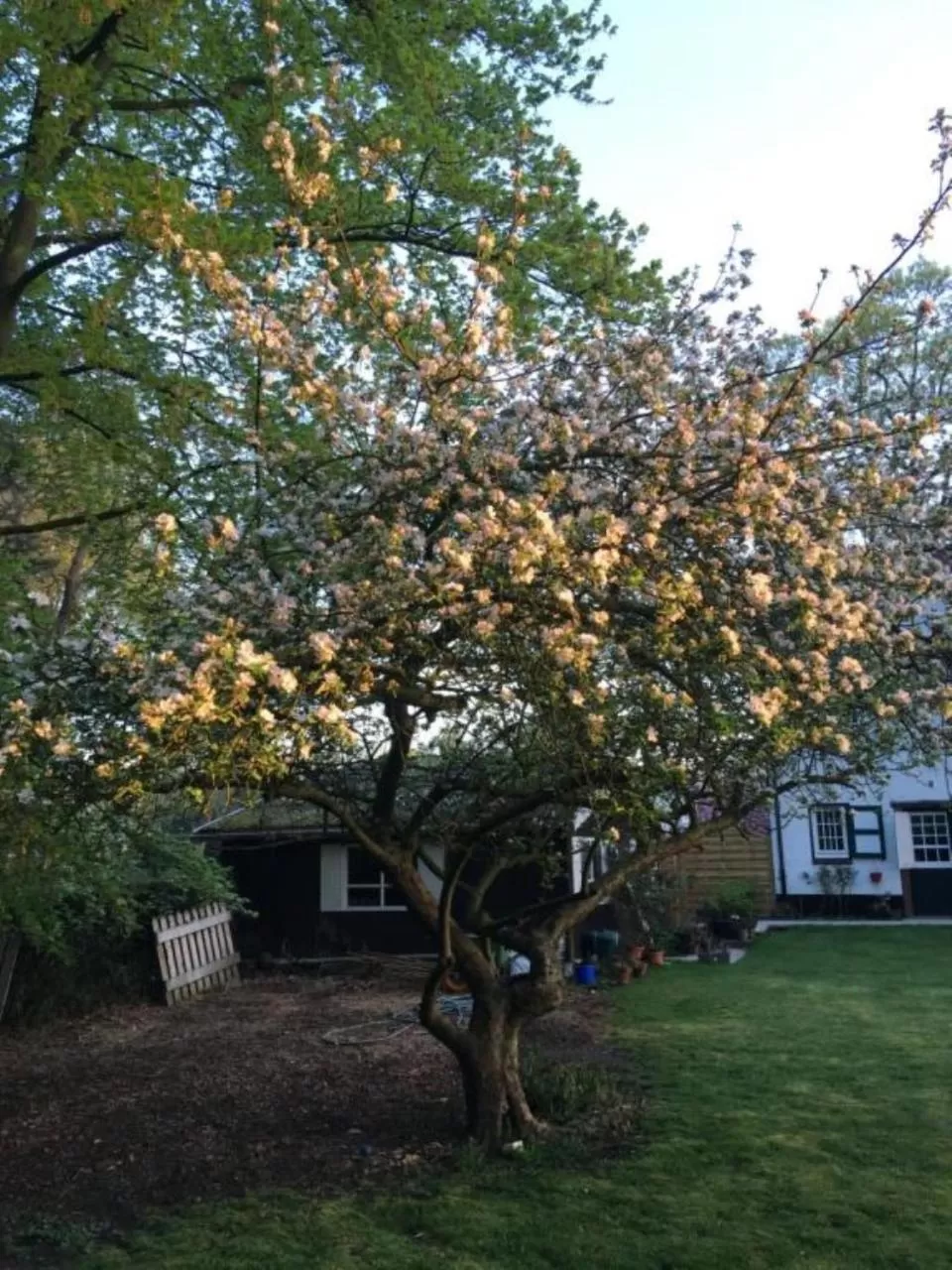 Property building in Rose House B&B