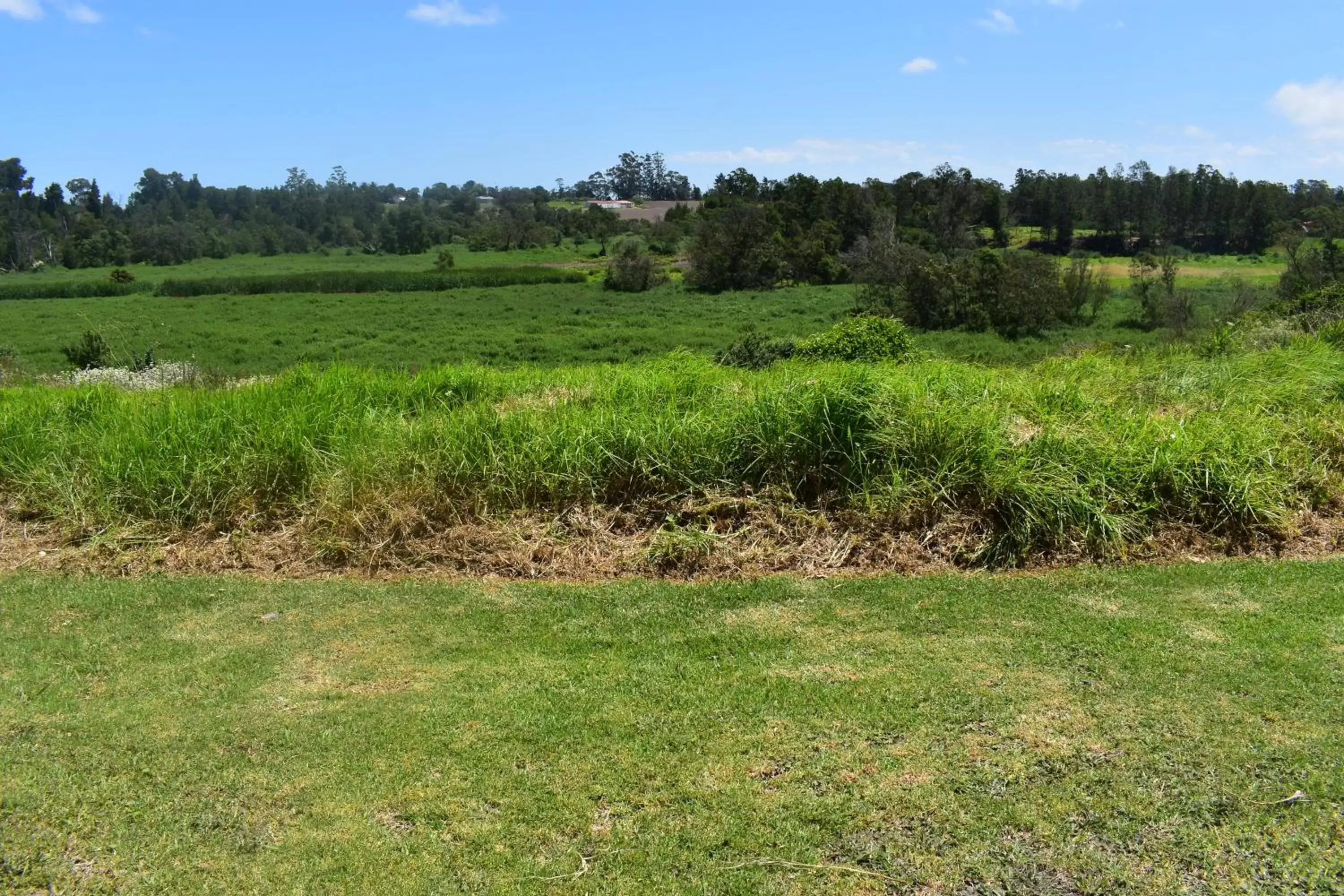 River view in Soeteweide North B&B and Spa River view in Soeteweide North B&B and Spa
