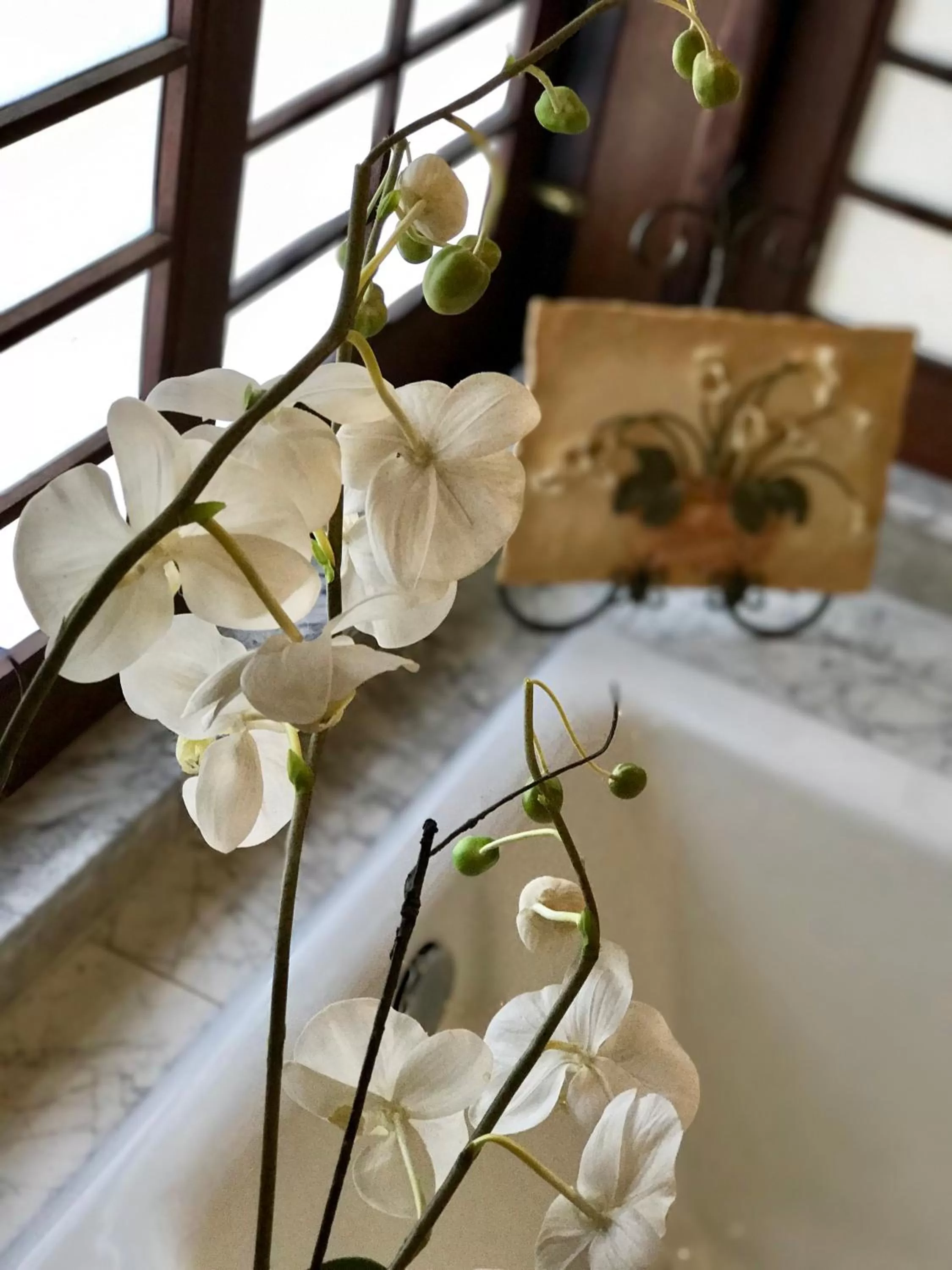 Hale Maluhia Country Inn