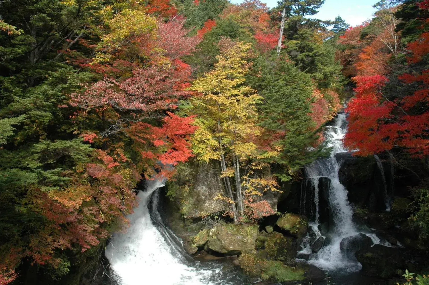 Area and facilities, Natural Landscape in Chuzenji Kanaya Hotel