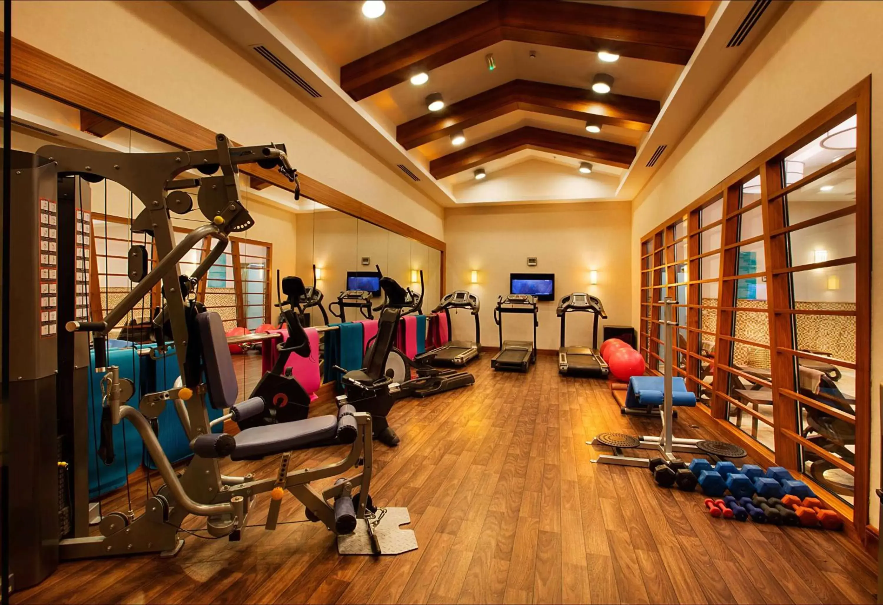 Fitness centre/facilities, Fitness Center/Facilities in Doubletree by Hilton Van