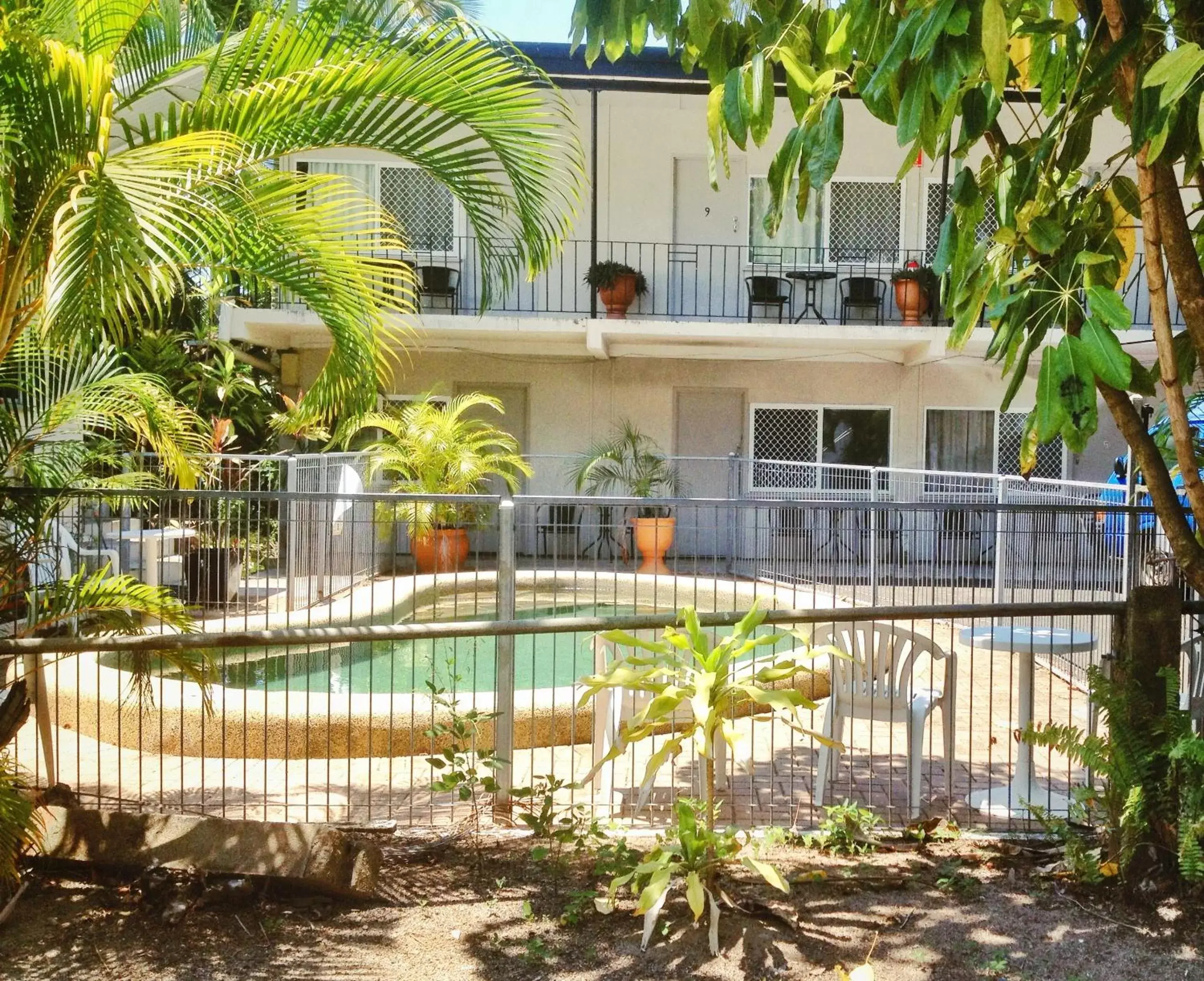 Garden, Swimming Pool in Cairns City Motel