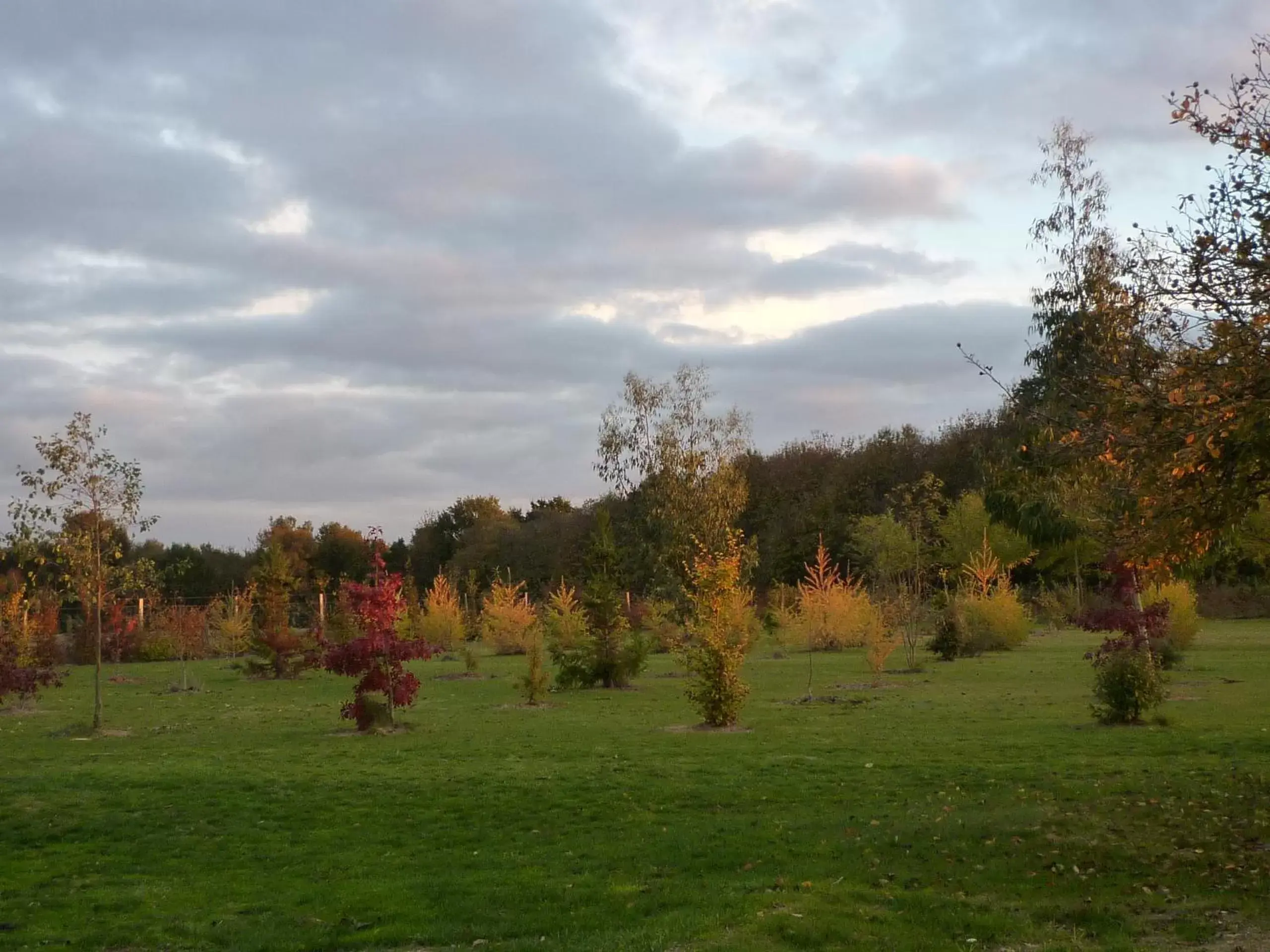 Garden in La SERPAUDERIE