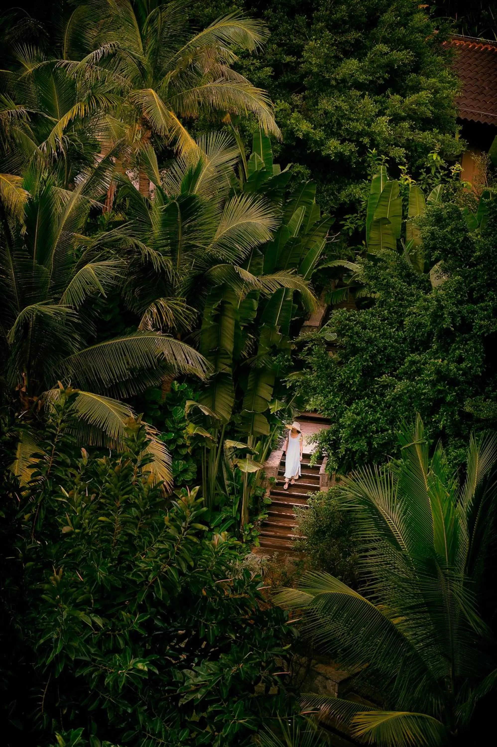 Garden in Raffles Hainan Clear Water Bay