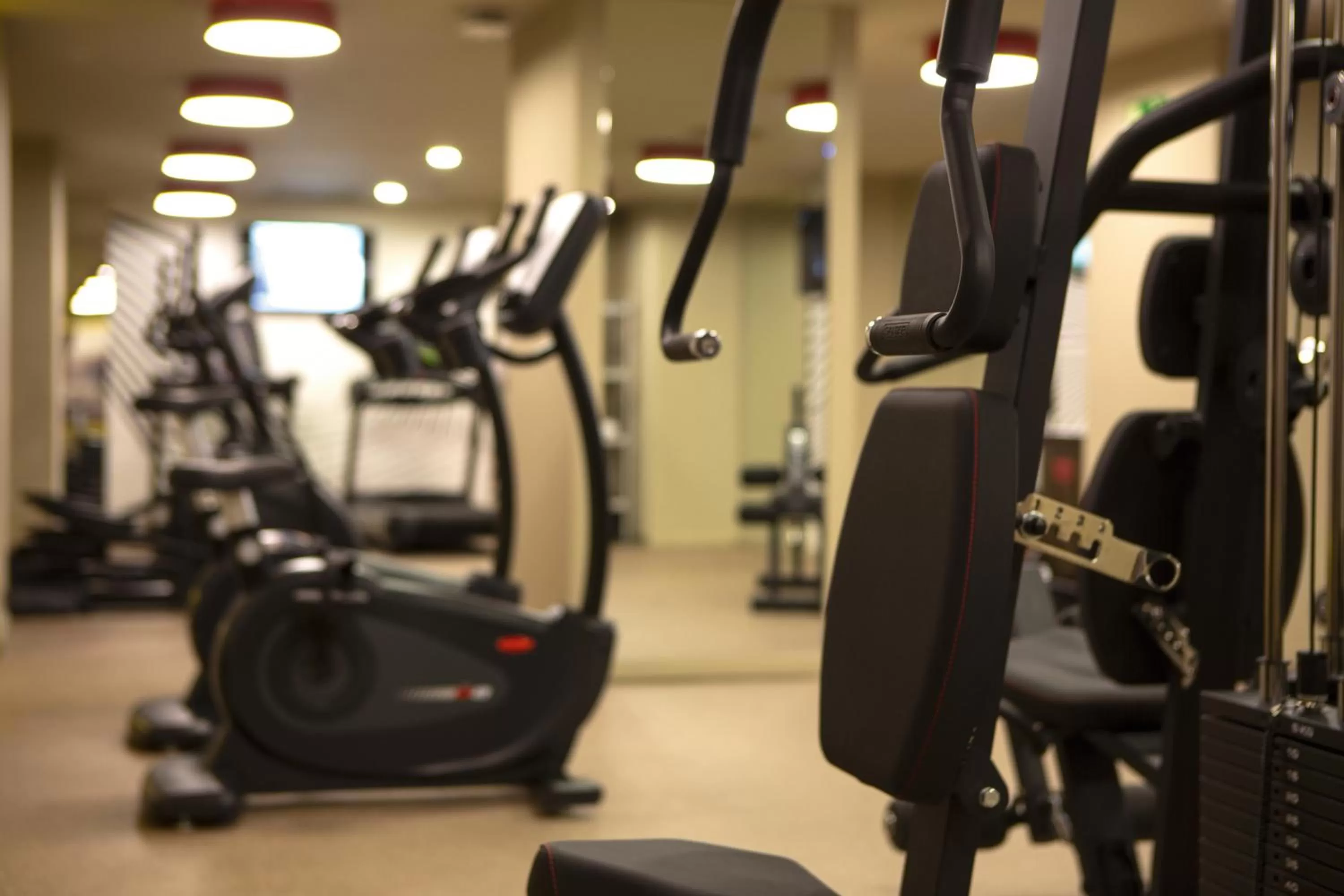 Fitness centre/facilities in Riu Plaza España